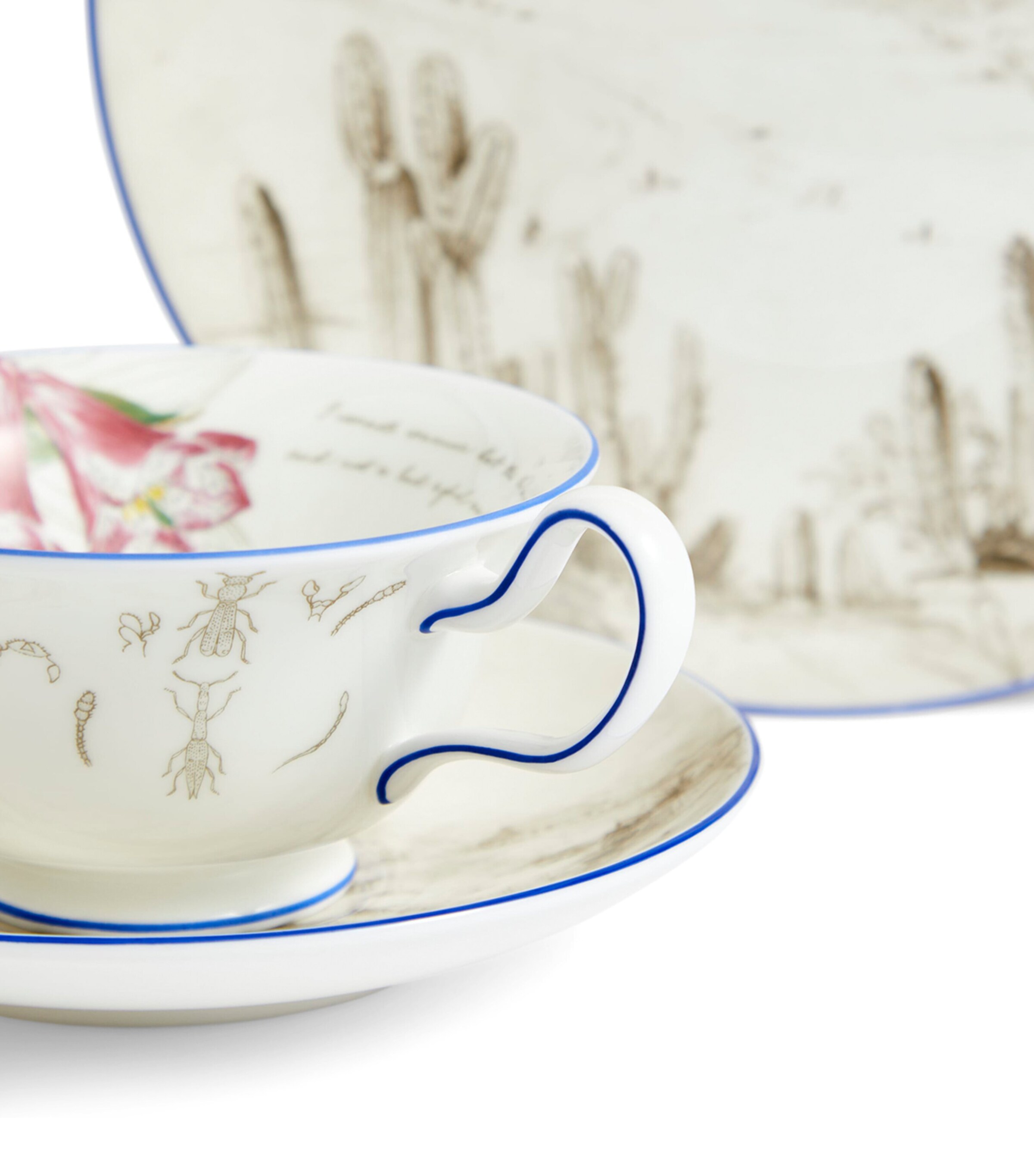 Wedgwood Voyage of the Beagle Chile Plate, Teacup and Saucer Set Image 6