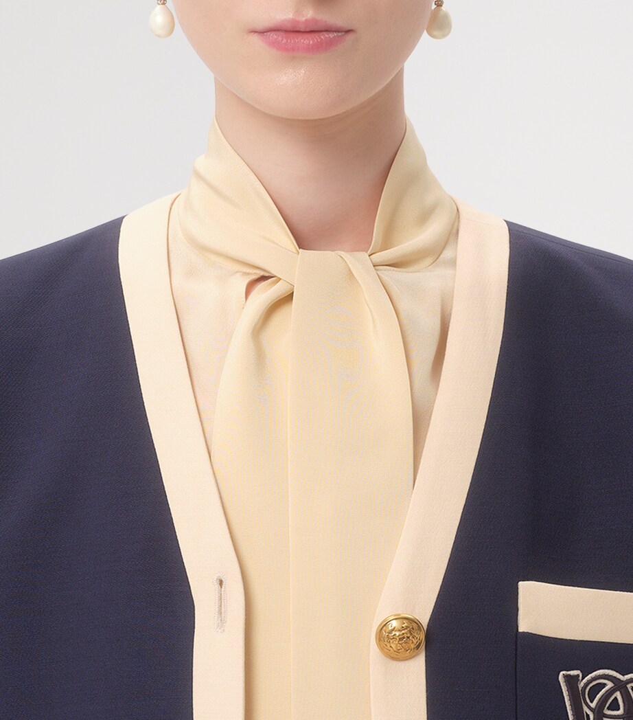 Silk Fringed Blouse ET5 Image 6