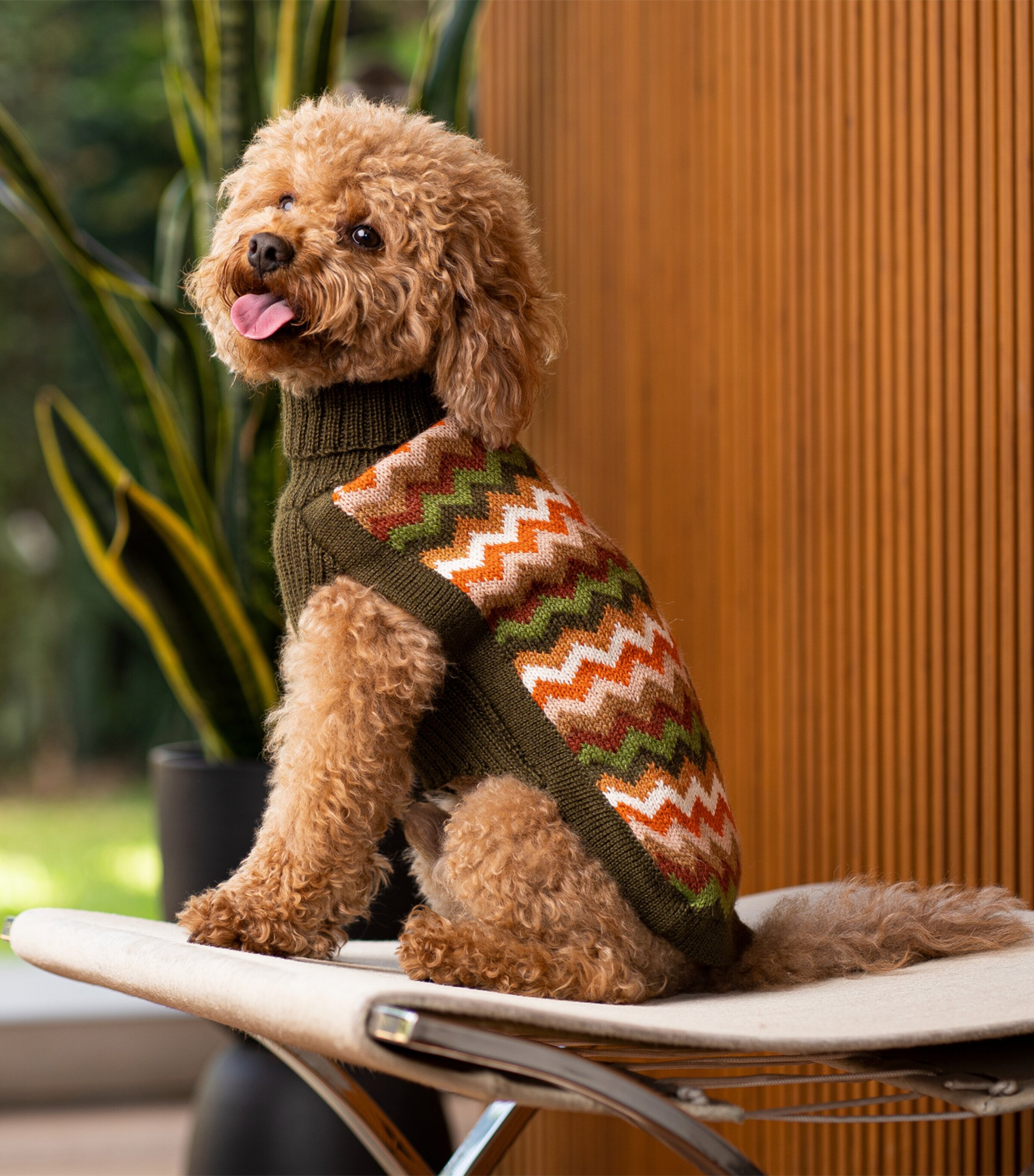 希少 argue ALPAKA WOOL SHAGGY SHAWL COAT argue ALPAKA WOOL SHAGGY SHAWL COAT
