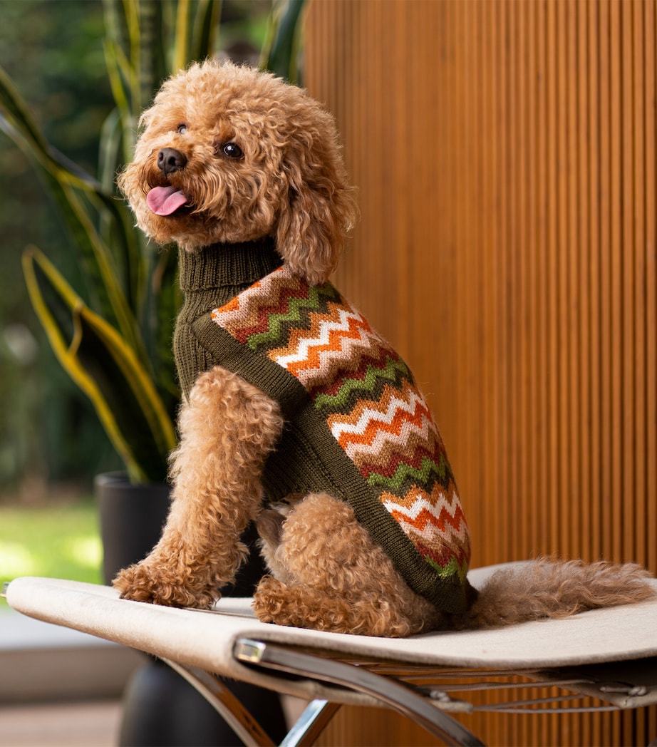 Alpaca-Blend Forest Chevron Dog Sweater GREEN Image 3
