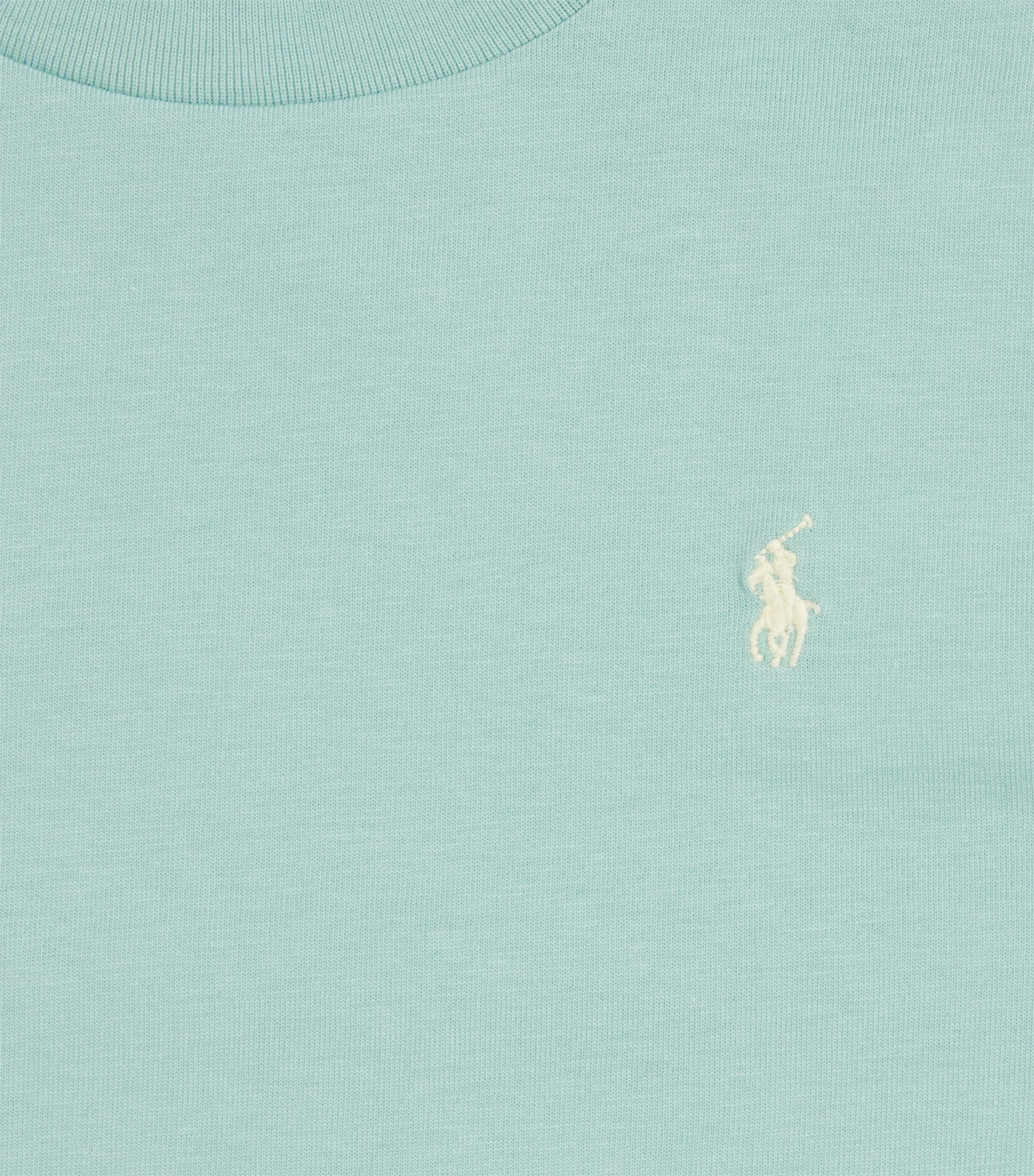 Cotton Jersey Logo T-Shirt (6-14 Years) CELADON Image 3