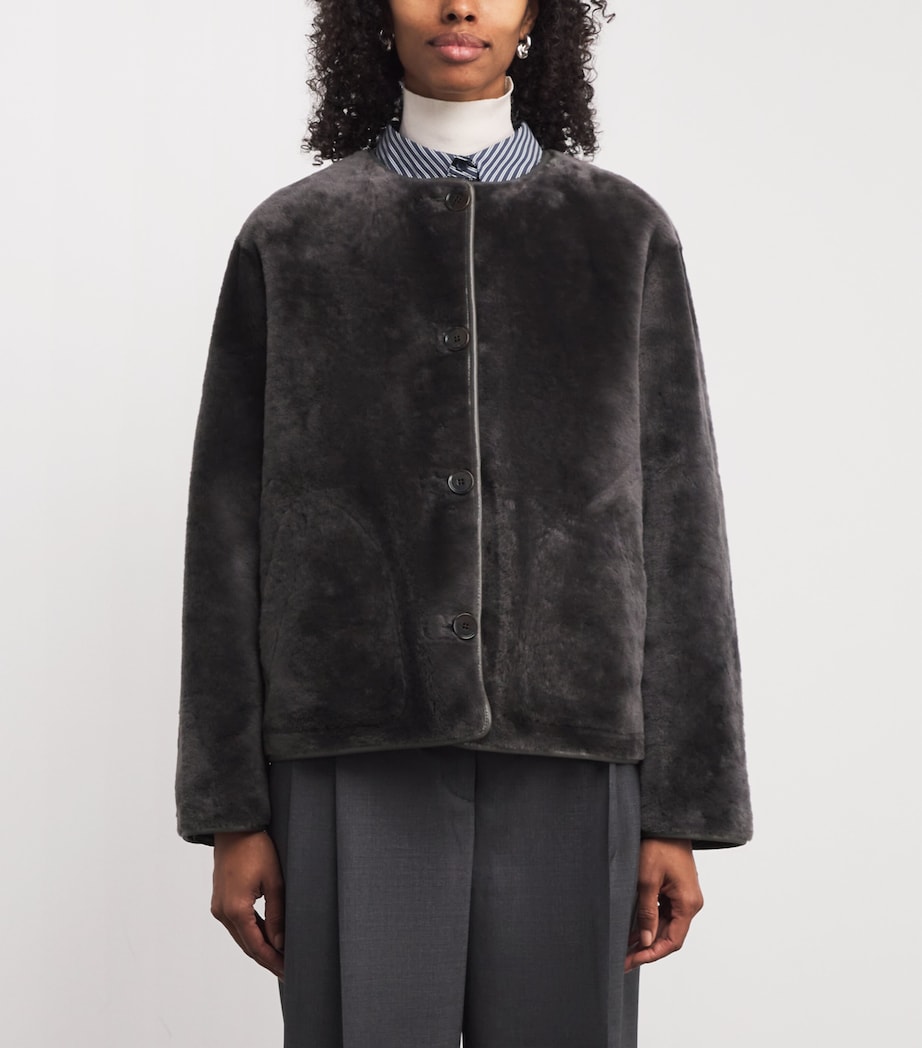 Shearling-Lambskin Reversible Lucine Jacket SOIL Image 3