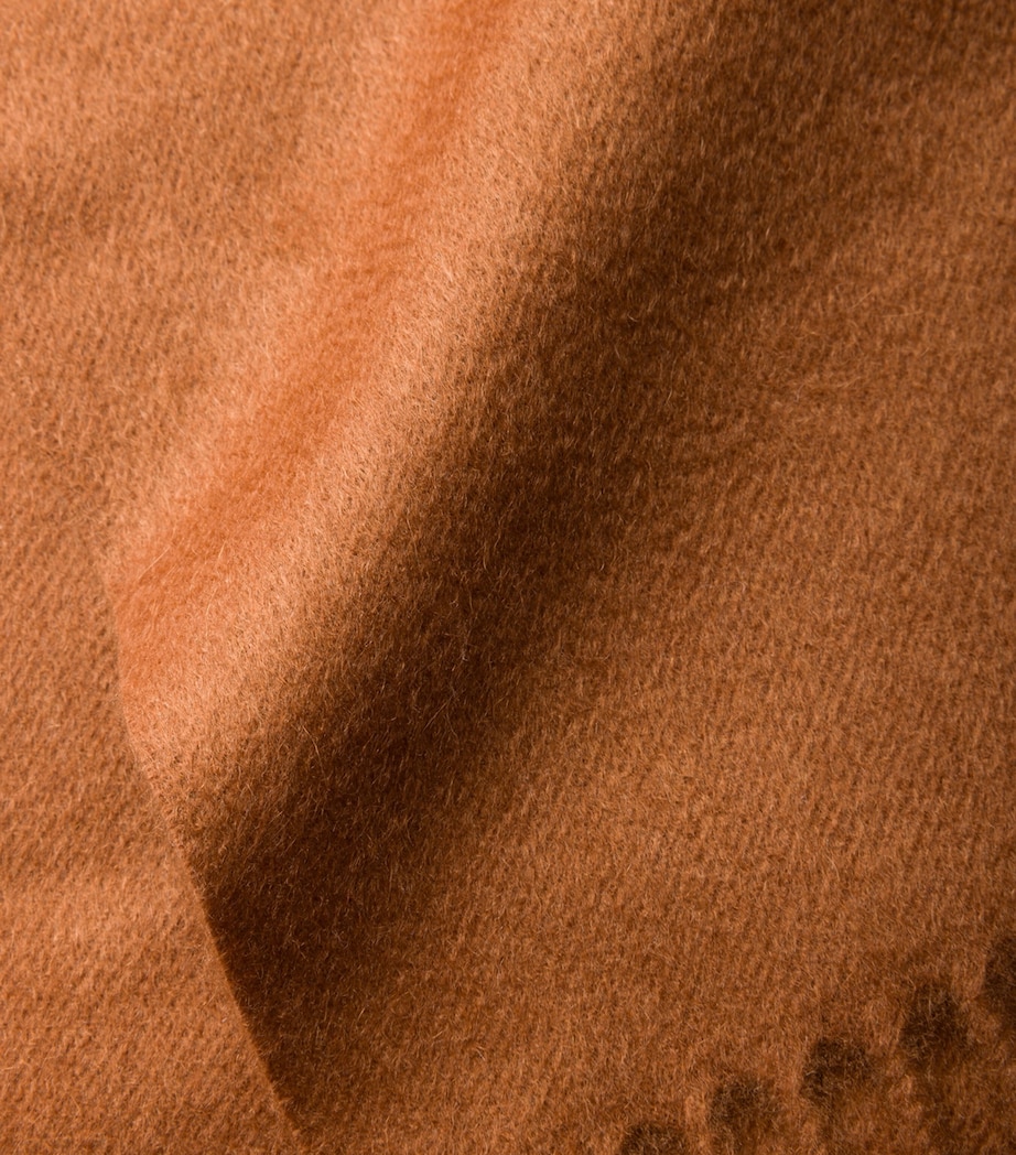 Cashmere Logo Scarf F0005 Image 3