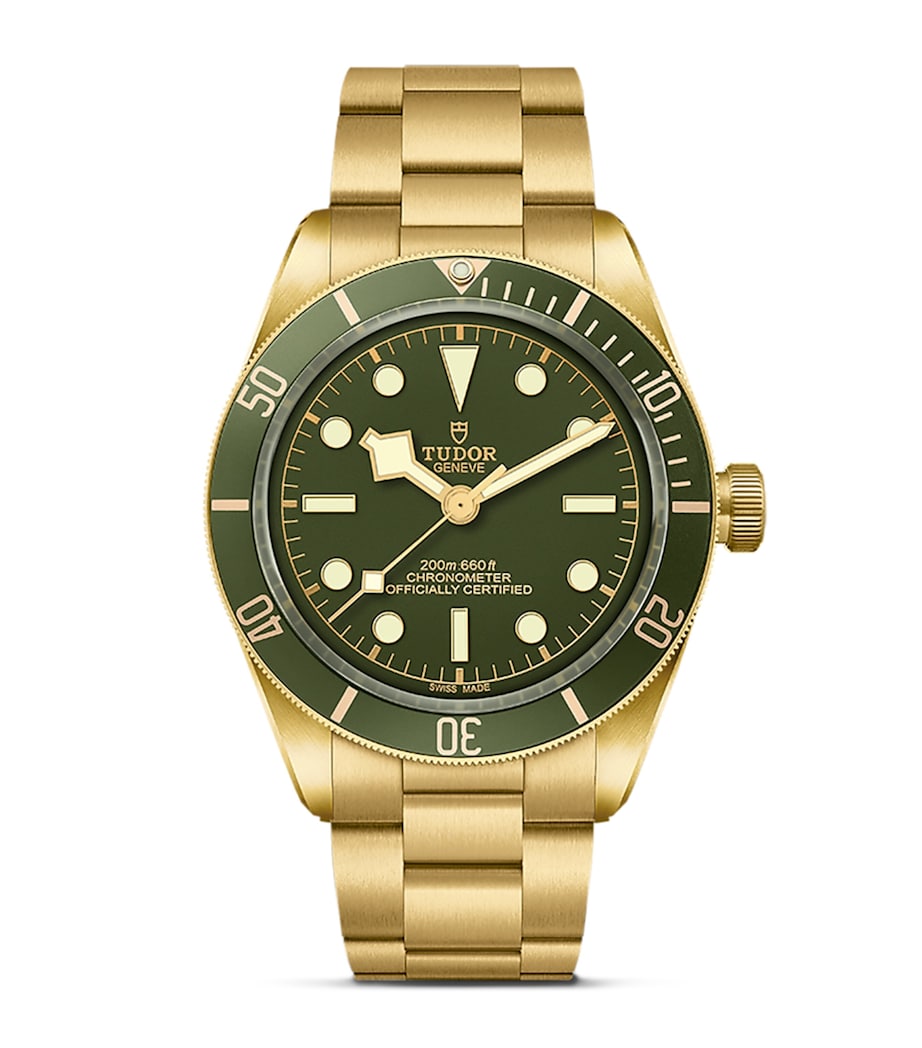Black Bay Yellow Gold Watch 39mm GREEN Image 1