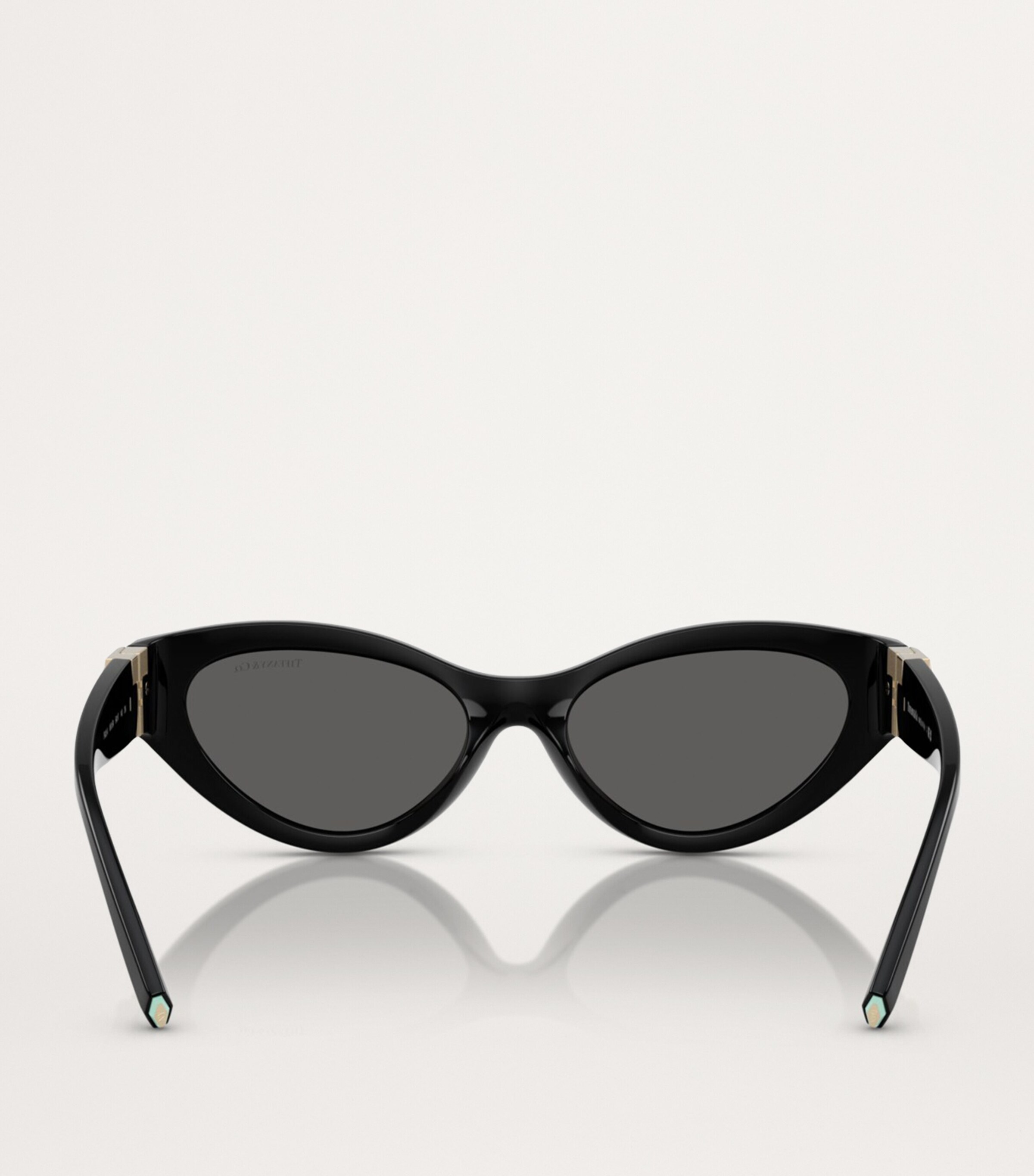Acetate Cat-Eye Sunglasses 8001S4 Image 4