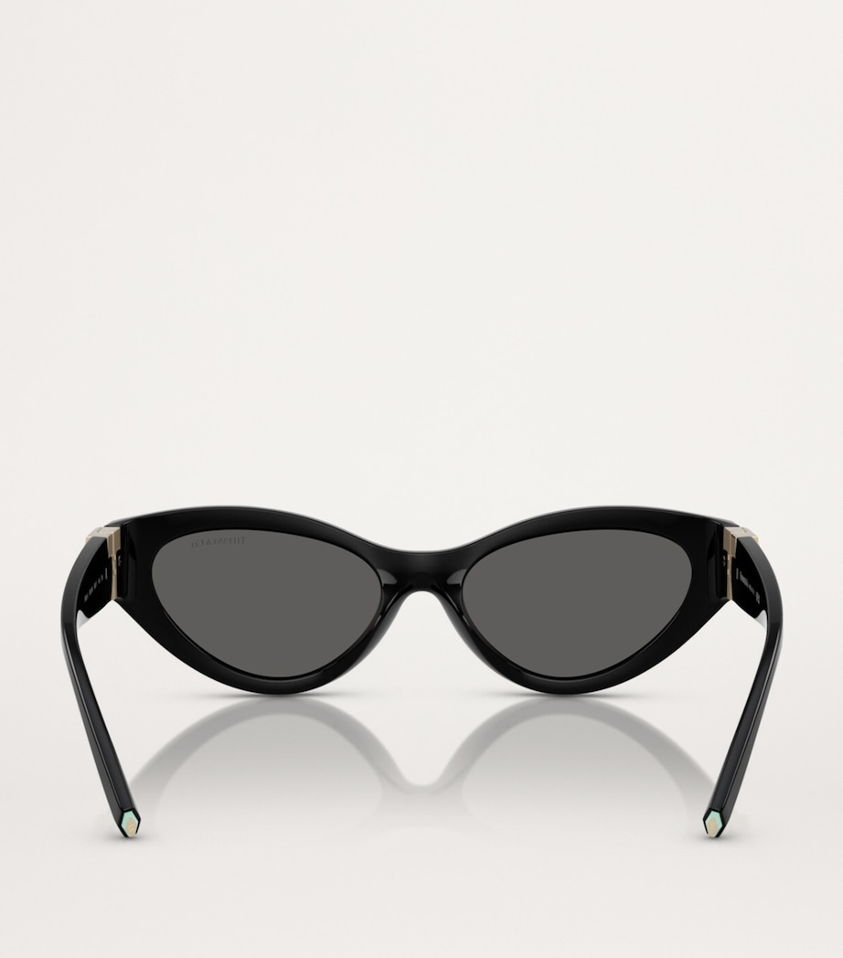 Acetate Cat-Eye Sunglasses 8001S4 Image 4