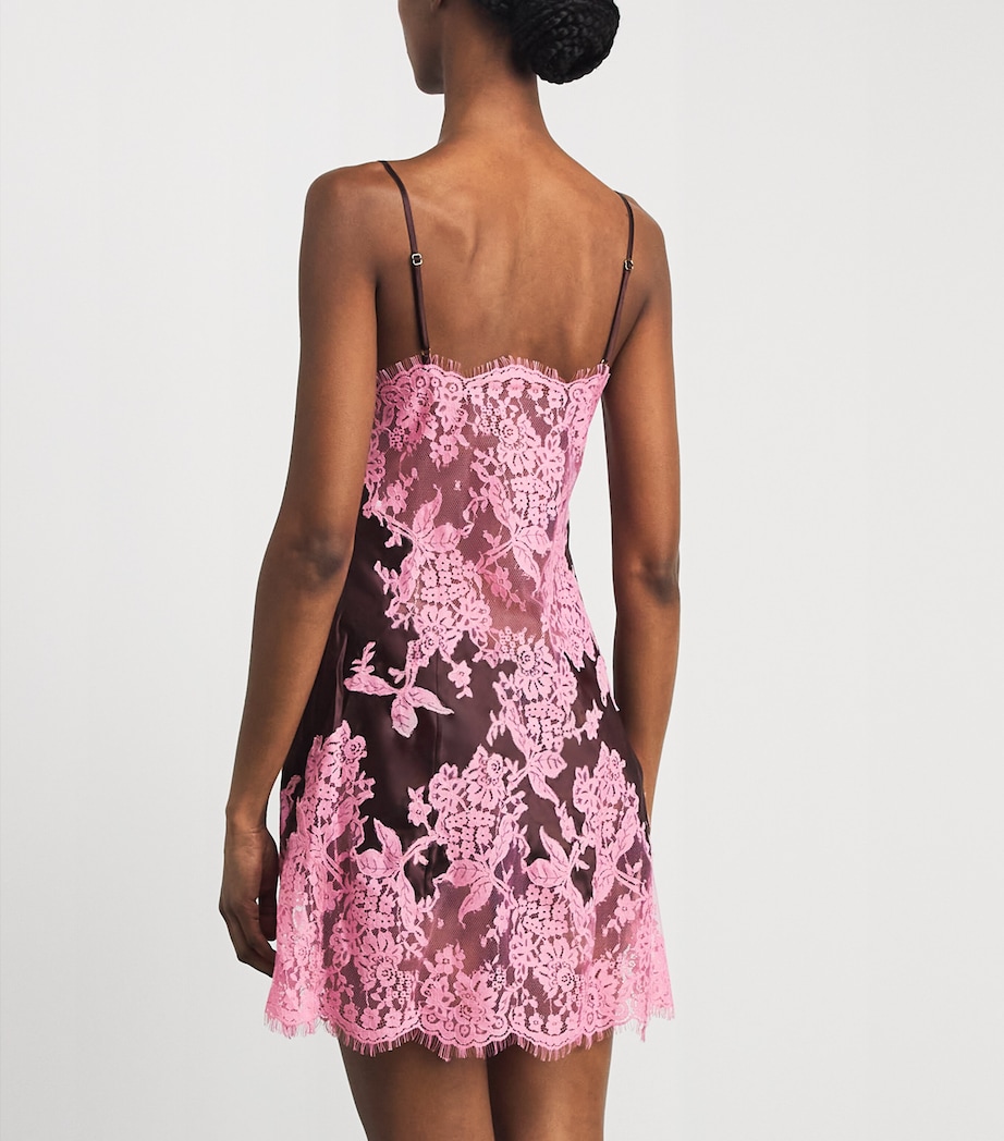 Marjolaine Womens Silk-Lace Mini Slip Dress Brun/blush Image 5