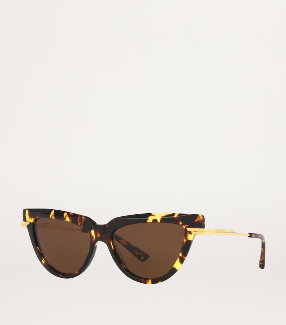 Acetate 06J000421 Sunglasses 4402D1 Image 2