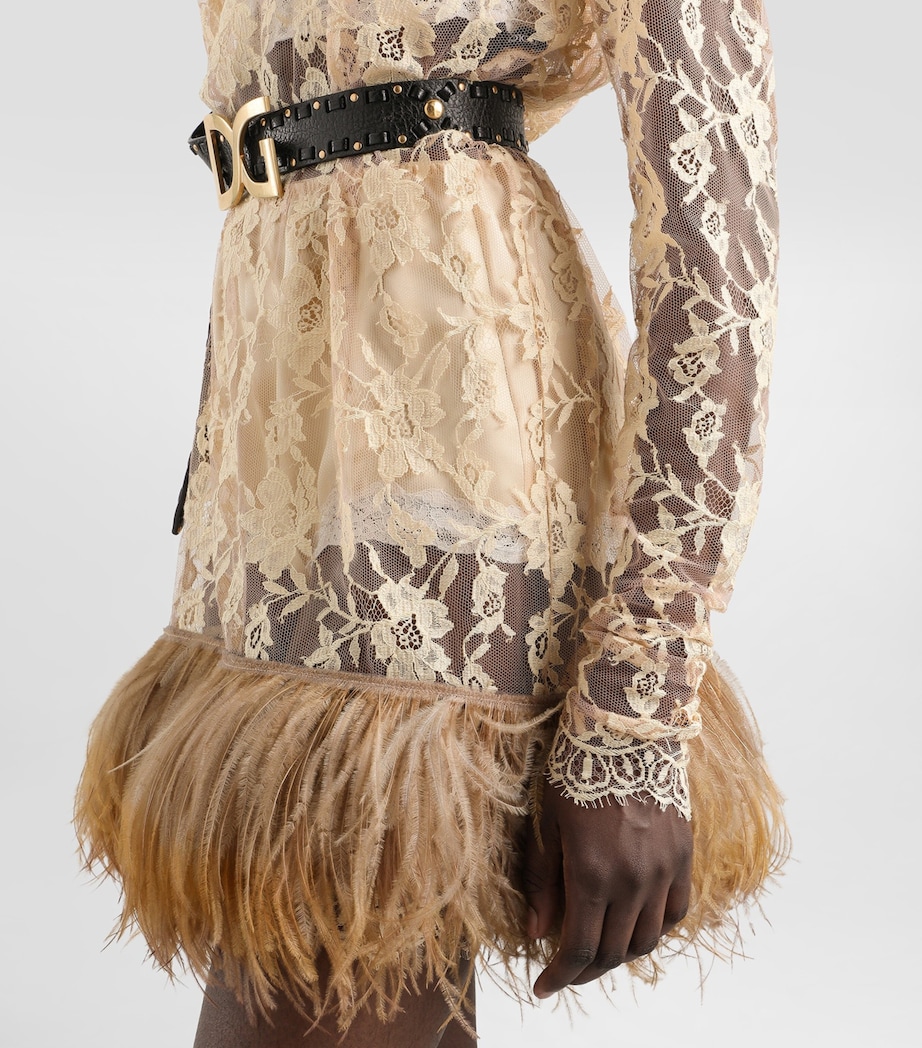 Dolce&Gabbana Womens Lace Feather-Trim Mini Dress Ecru Image 5
