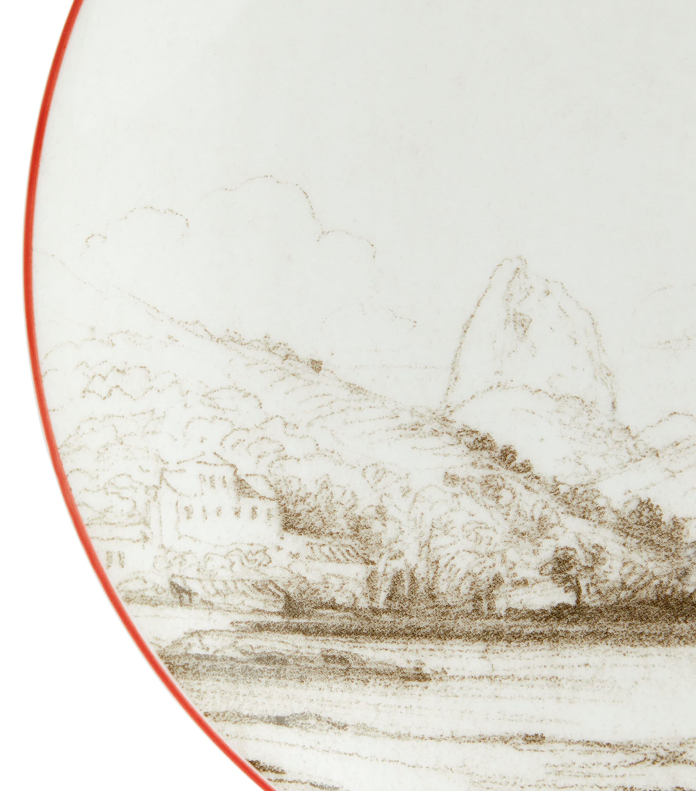 Wedgwood Voyage of the Beagle Brazil Plate, Teacup and Saucer Set Image 5