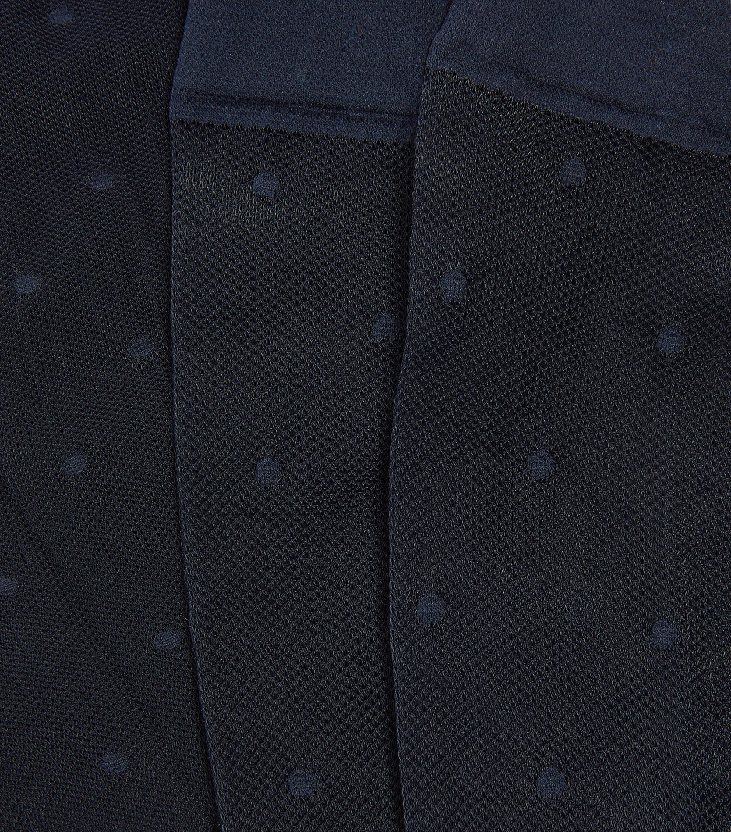 Sheer Dot Knee-High Socks 6179 MARINE Image 2