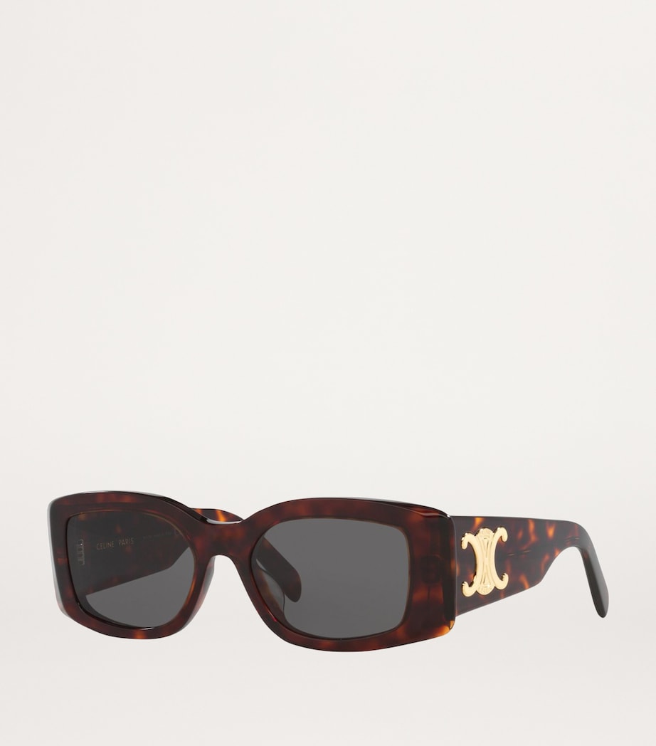 Squared Oval Triomphe Sunglasses 4402L1 Image 2