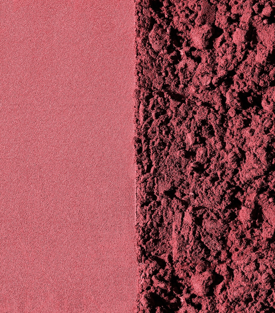 Tea to Tan Blush Powder N6 Image 3