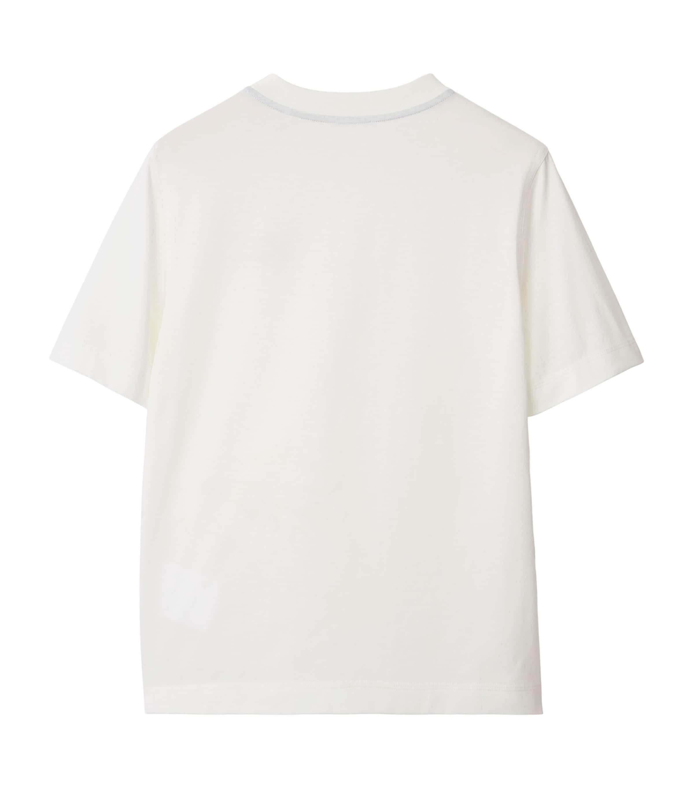 Cotton EKD T-Shirt SALT Image 2