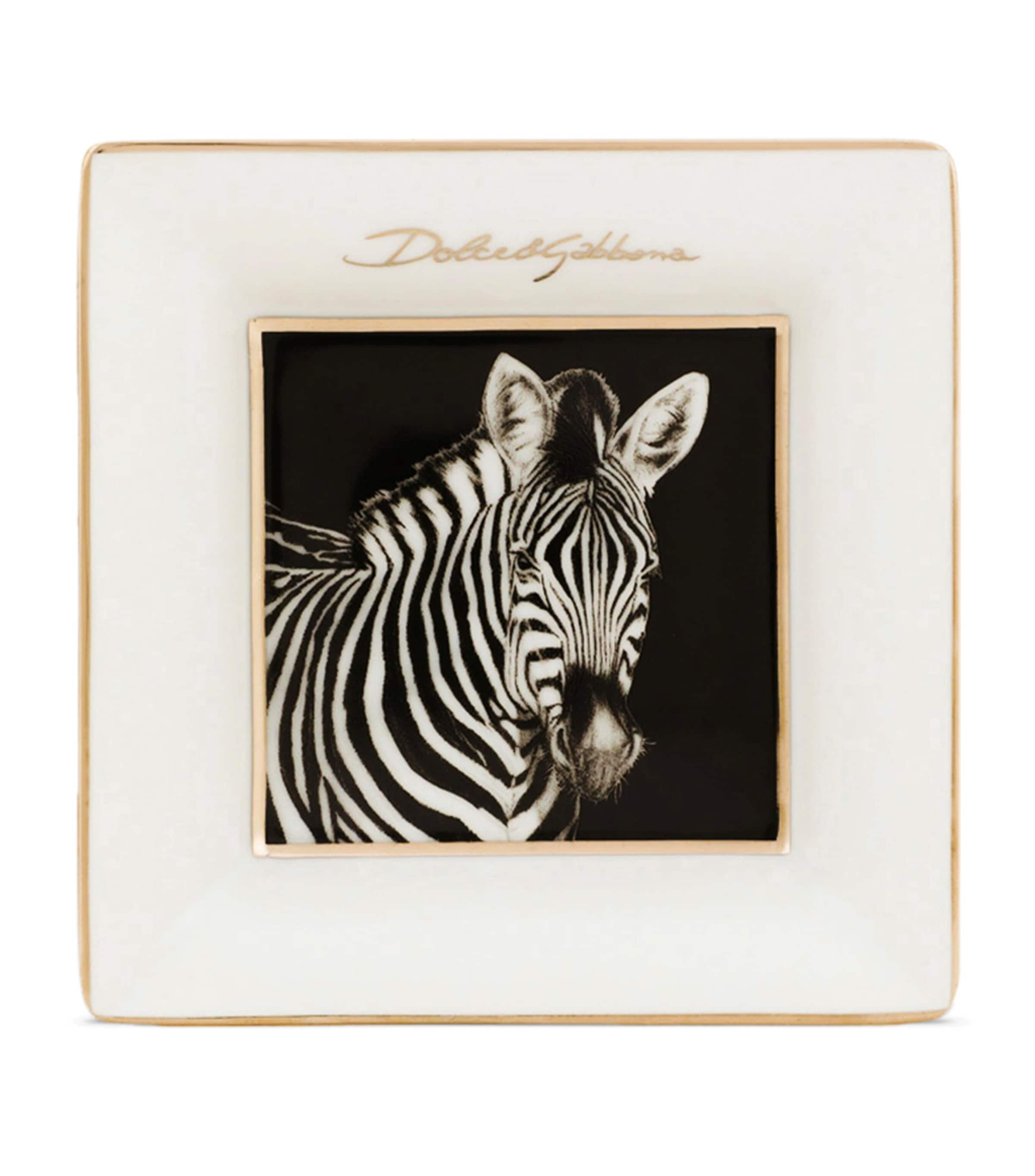 Set of 3 Porcelain Zebra Decorative Square Plates (10cm) UZ004-ZEBRA Image 5