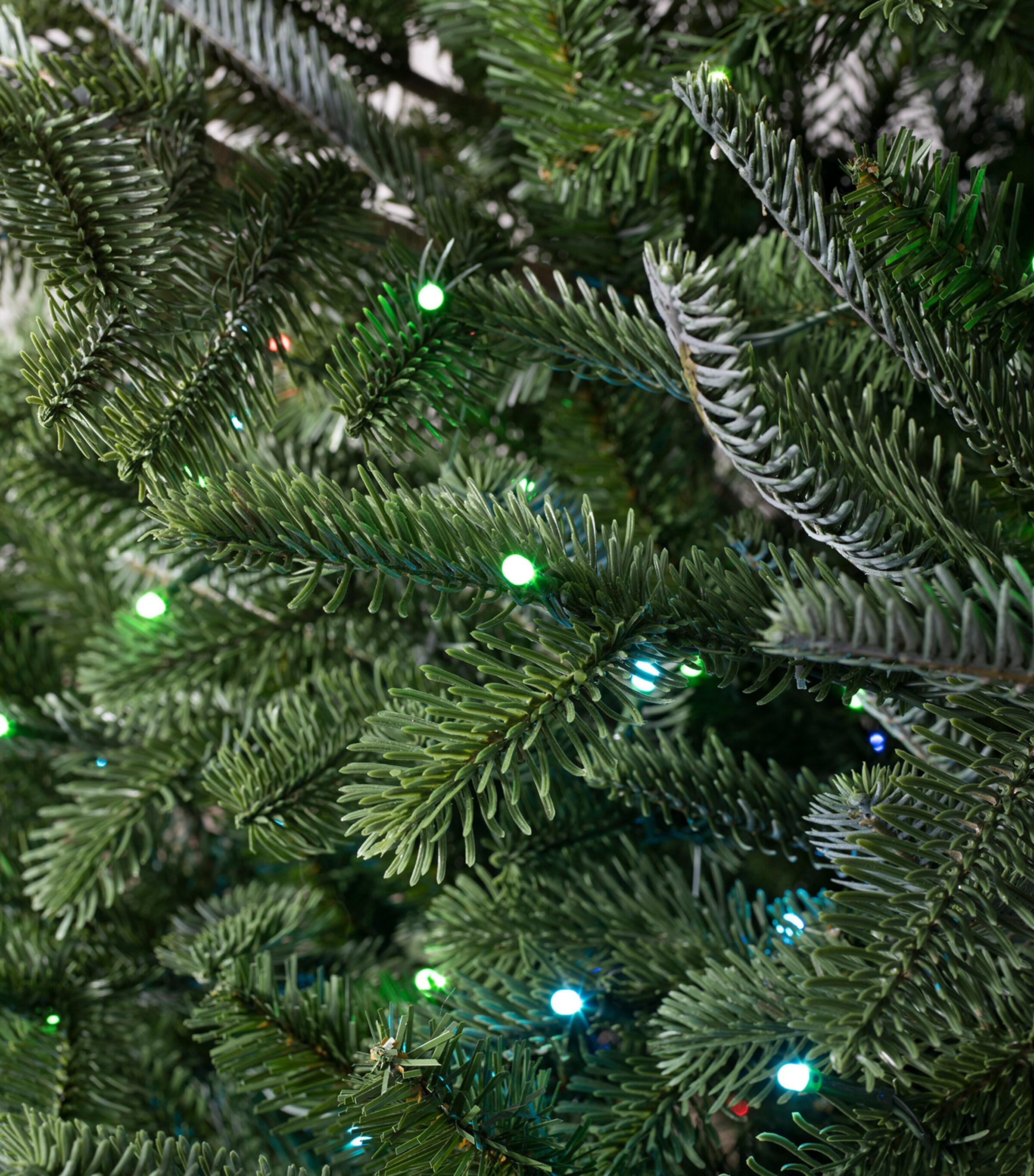 BH Nordmann Fir Twinkly Green Tree (8ft) GREEN Image 5