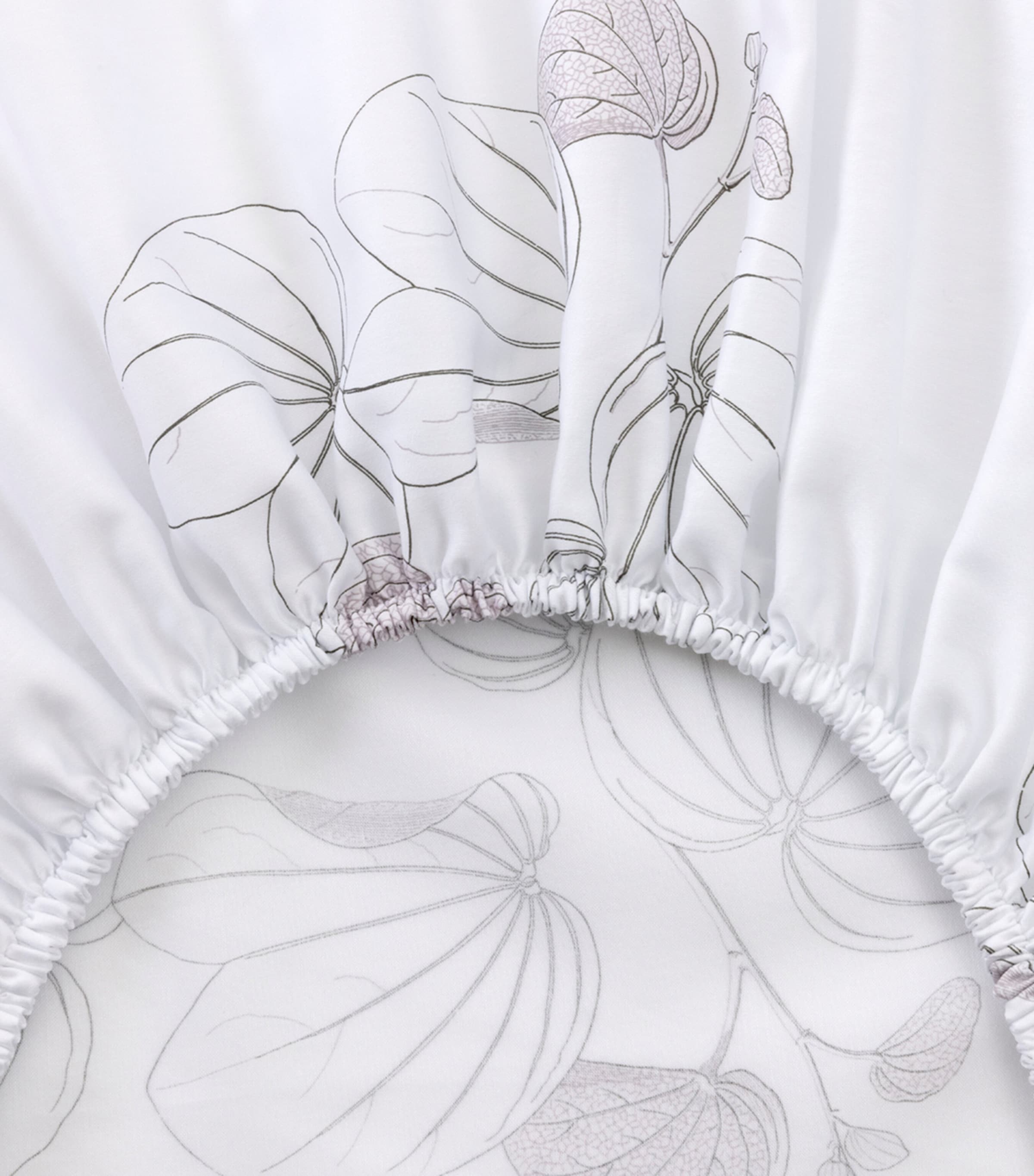 Floral Orchidee King Fitted Sheet (150cm x 200cm) MULTICOLOURED Image 3