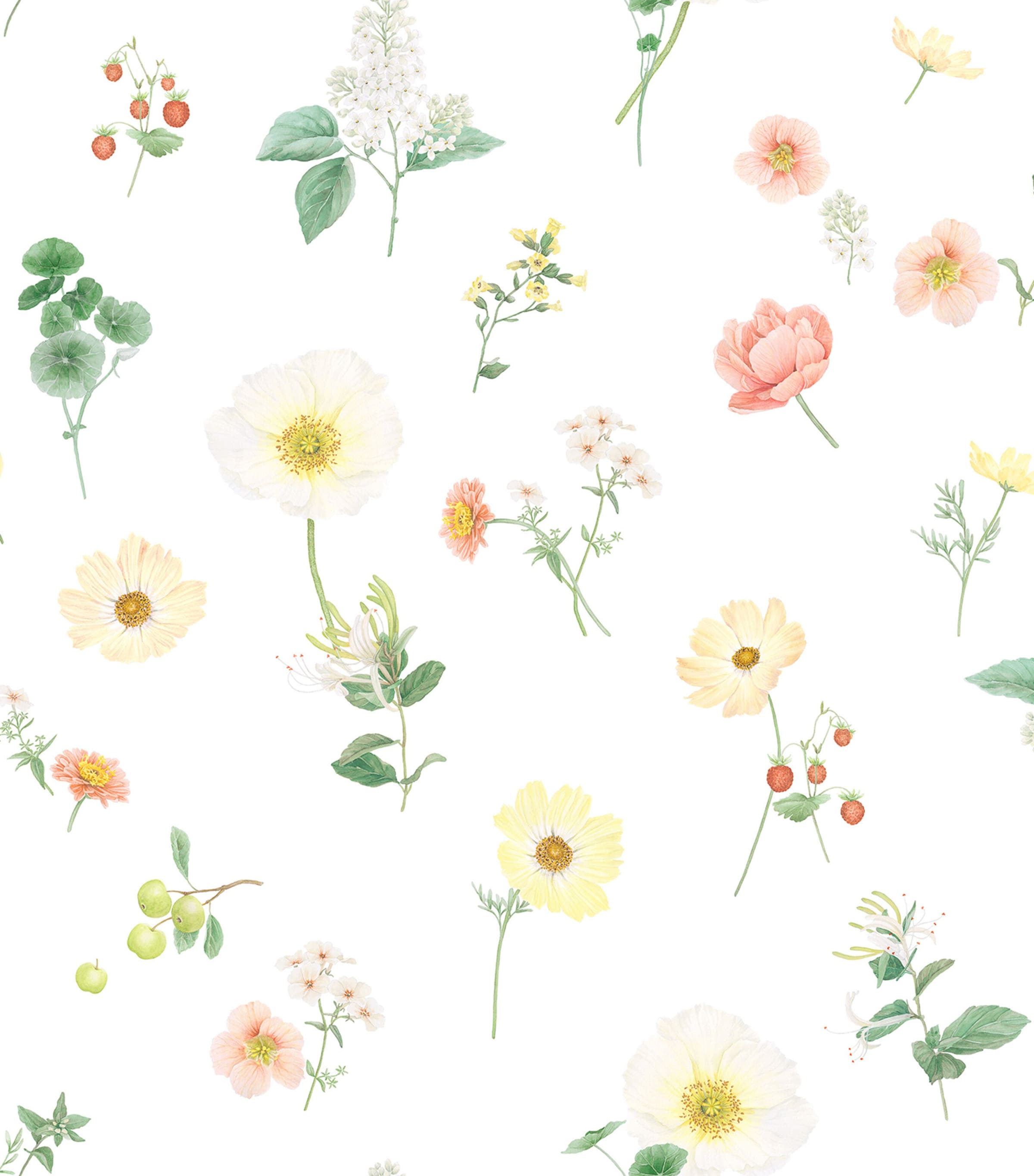 Cotton Sateen Zinnia Flat Sheet (280cm x 290cm) BLANC Image 2