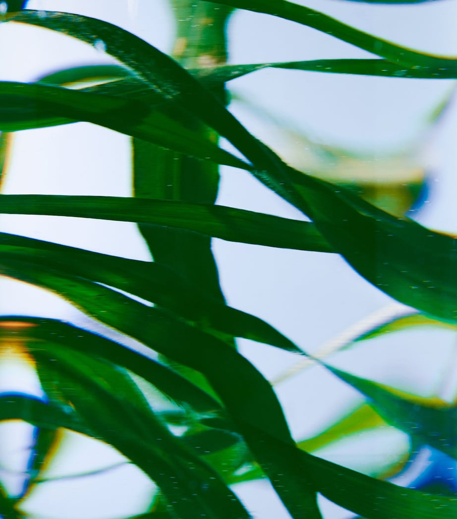 Vetyver Hand Lotion (450ml) - Refill NO COLOUR Image 2