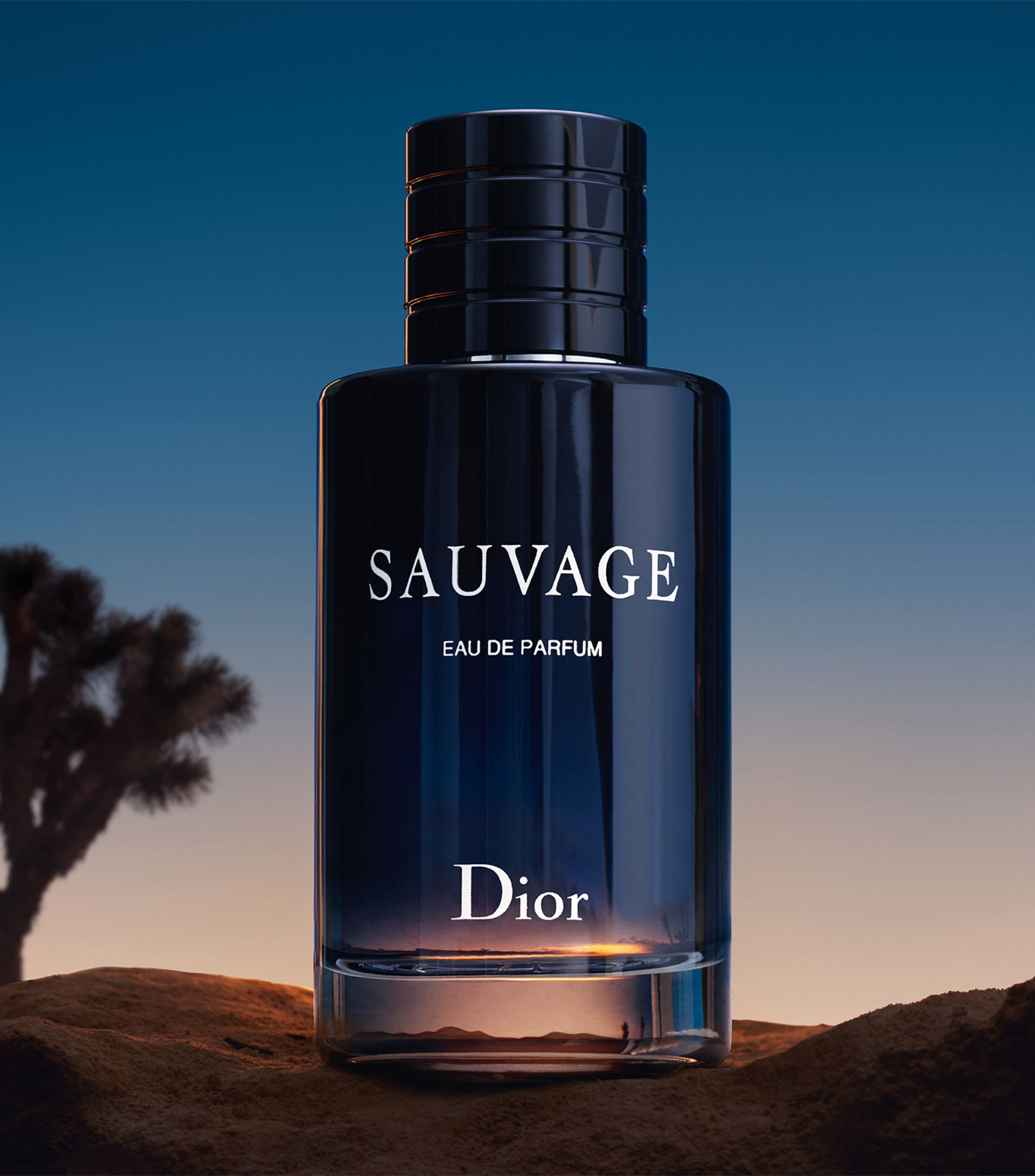 Dior sauvage 60ml boots online