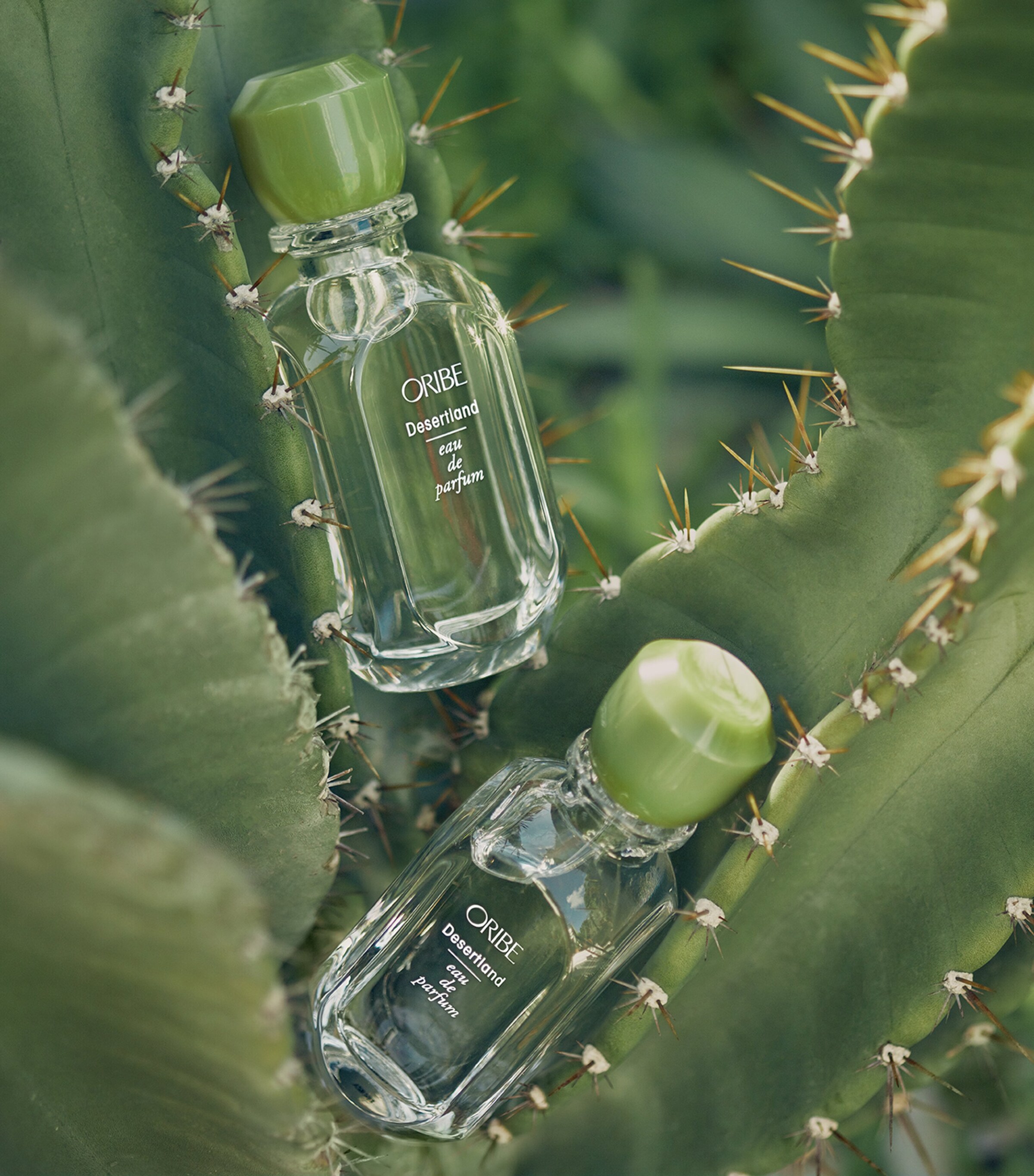 Oribe Desertland Eau de Parfum (75ml) Harrods UK