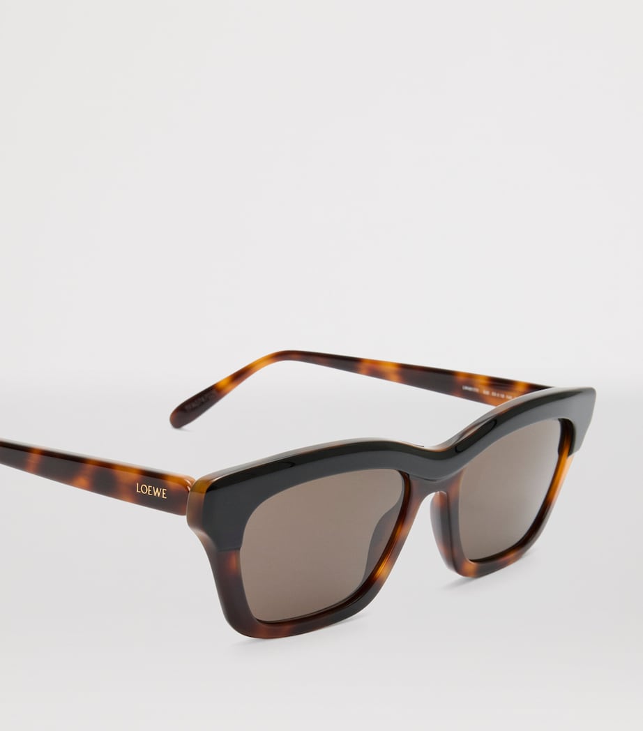 LOEWE Acetate Sigma Slim Sunglasses Havana Special Image 4