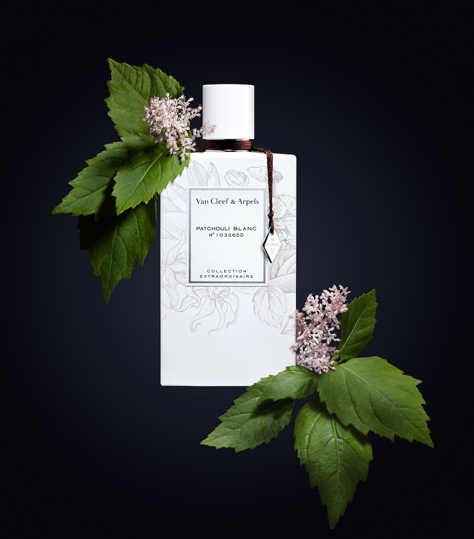 Collection Extraordinaire Patchouli Blanc Eau de Parfum (75ml) NO COLOUR Image 3