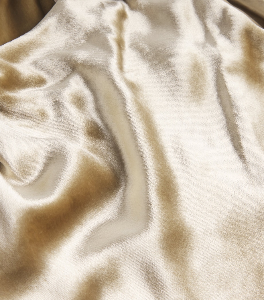 Velvet Selima Top CHAMPAGNE Image 5