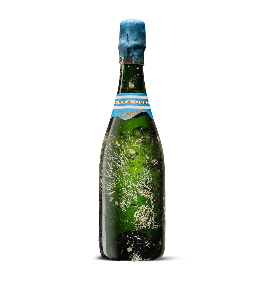 Vikka Champagne 2010 (75cl) - Champagne, France WHITE Image 1