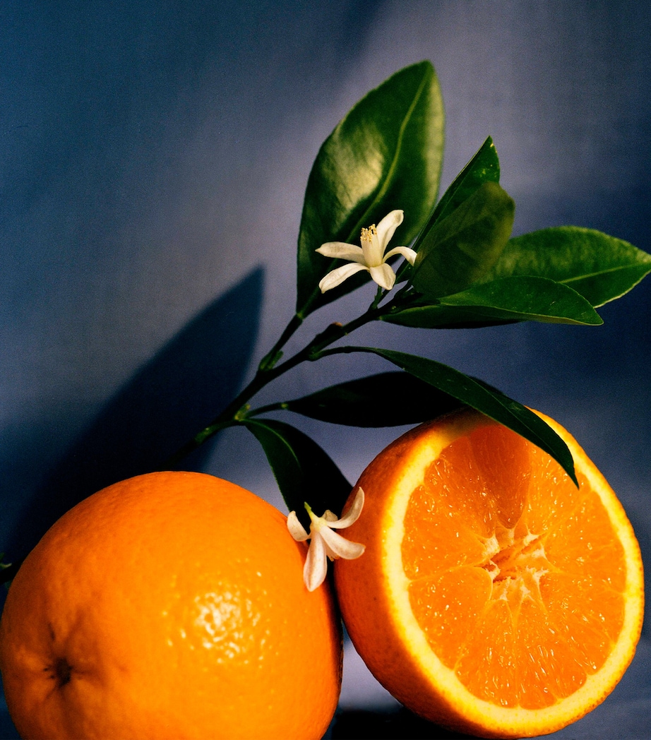 Medium Orange Blossom Candle (1.5kg) NO COLOUR Image 3