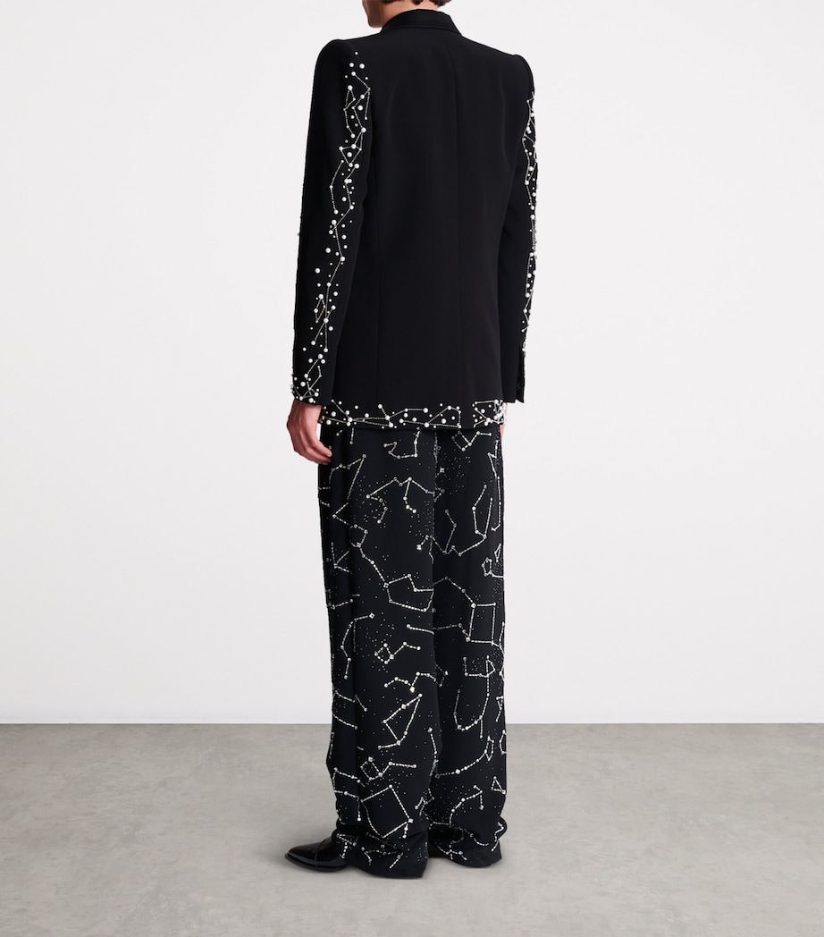 Embroidered Single-Breasted Blazer EAW NOIR/CRISTAL Image 3