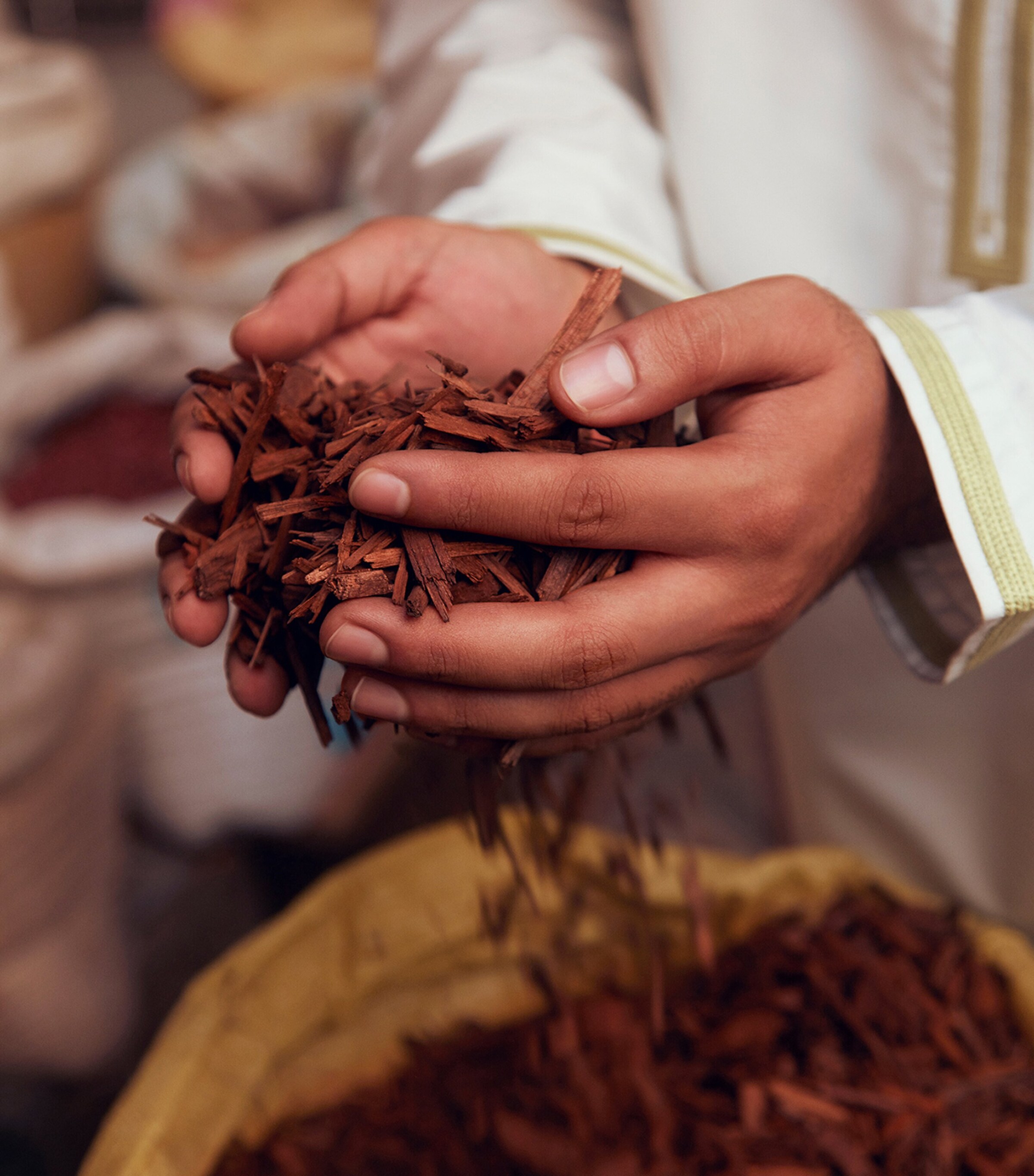 Wood Whisper Absolute Perfume Oil (20Ml) NO COLOUR Image 7