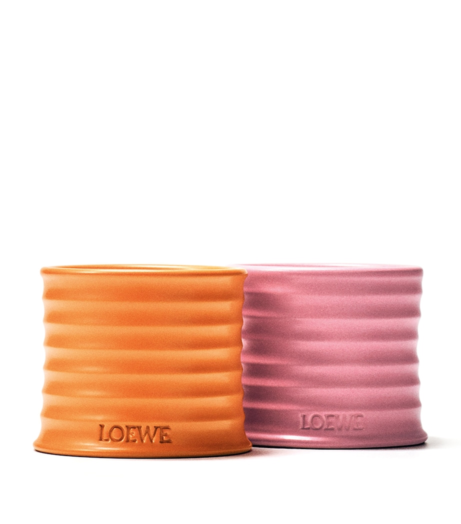 Medium Orange Blossom Candle (1.5kg) NO COLOUR Image 4