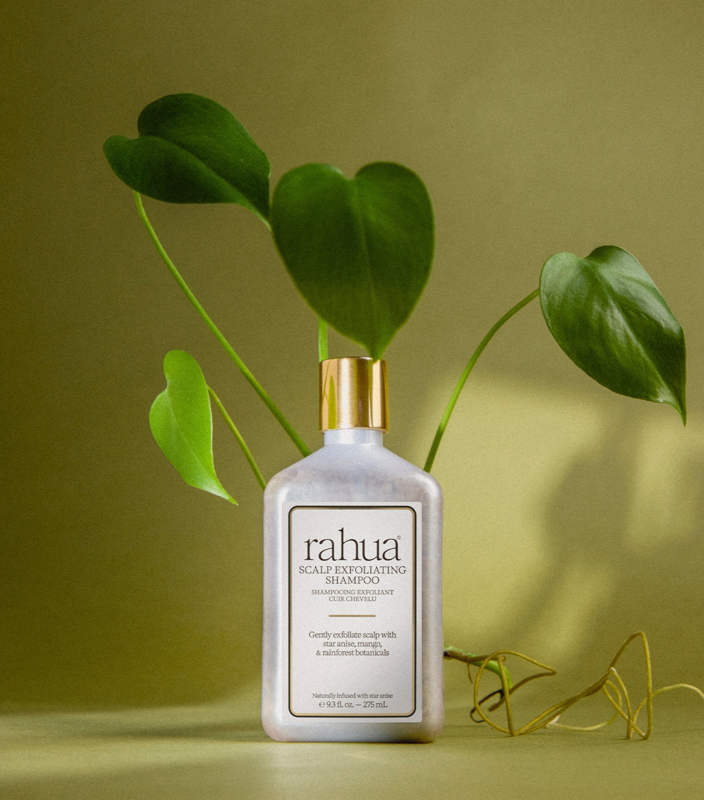 Rahua Scalp Exfoliating Shampoo (275ml) Image 2