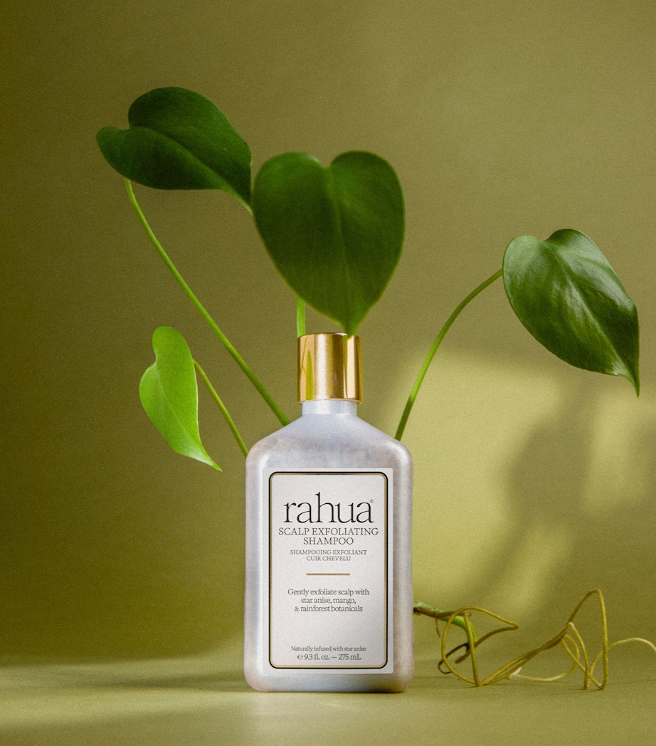 Rahua Scalp Exfoliating Shampoo (275ml) Image 2
