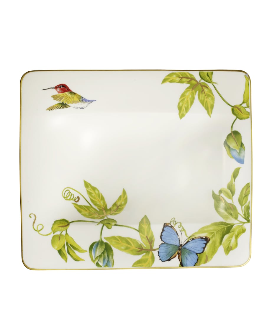 Amazonia Deep Plate (24cm) NO COLOUR Image 1