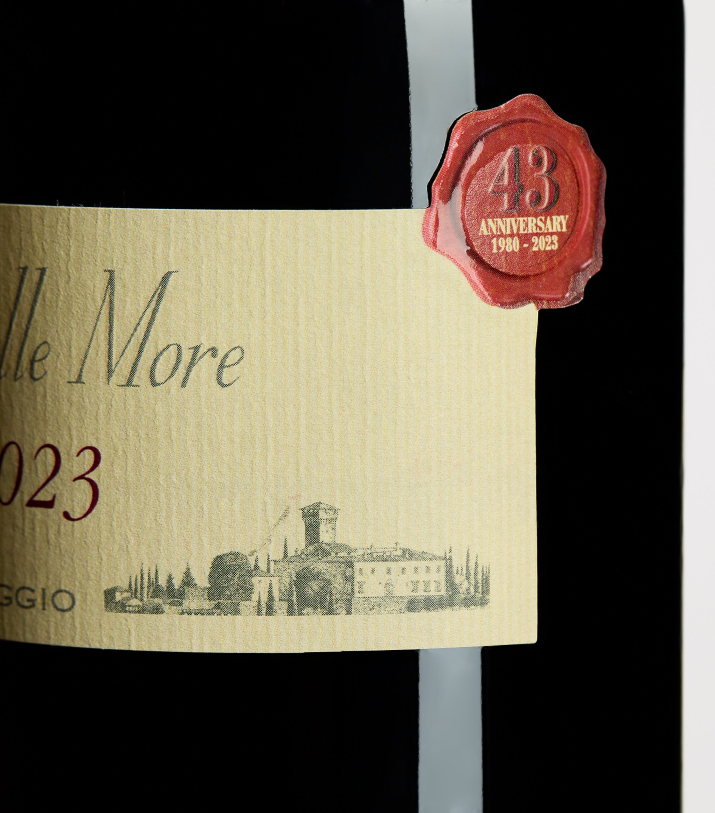 CASTELLO VICCHIOMAGGIO Castello Vicchiomaggio Ripa delle More 2023 (75cl) - Tuscany, Italy Image 2