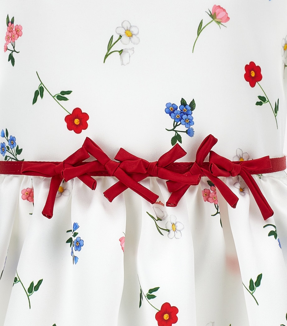 Garden Party Dress (2-16 Years) PANNA+MULTICOLOR Image 4