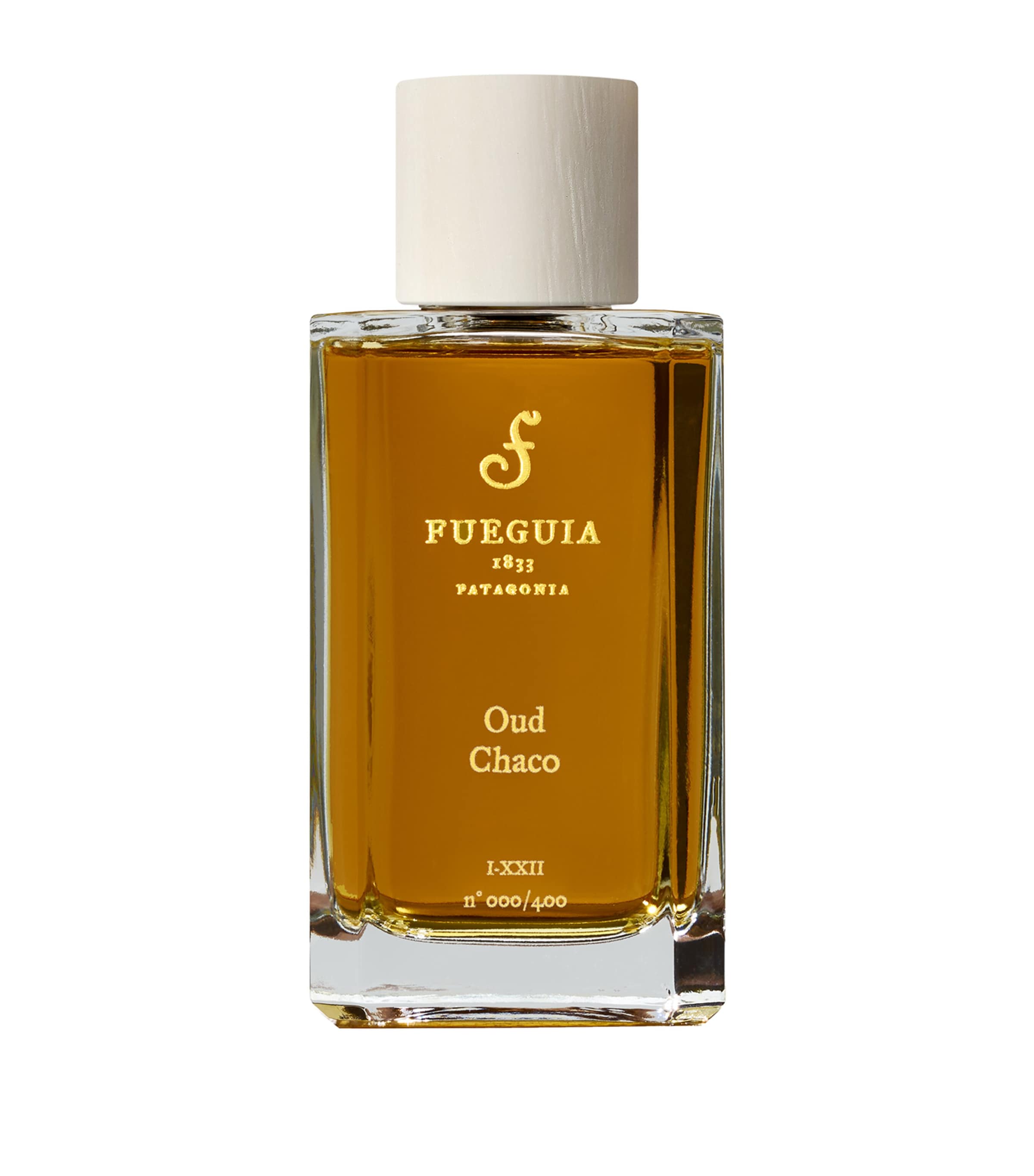 Fueguia 1833 Oud Chaco Perfume (100ml) Image 1