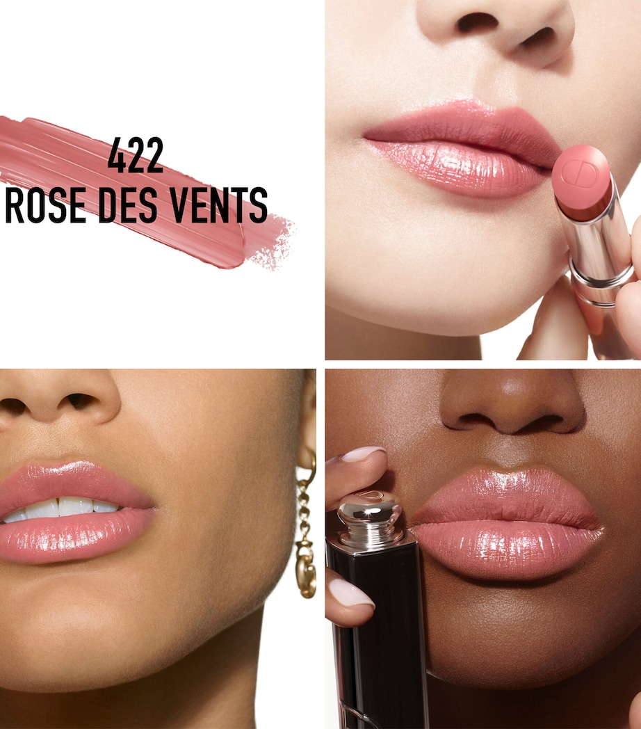 Dior Addict Shine Lipstick 422 ROSE DES VENTS Image 2