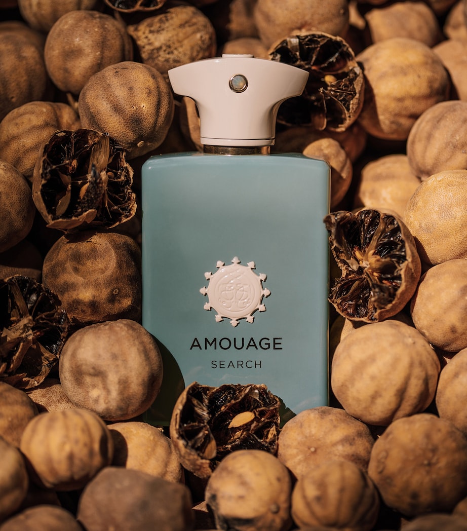 Search Eau de Parfum (100ml) NO COLOUR Image 6