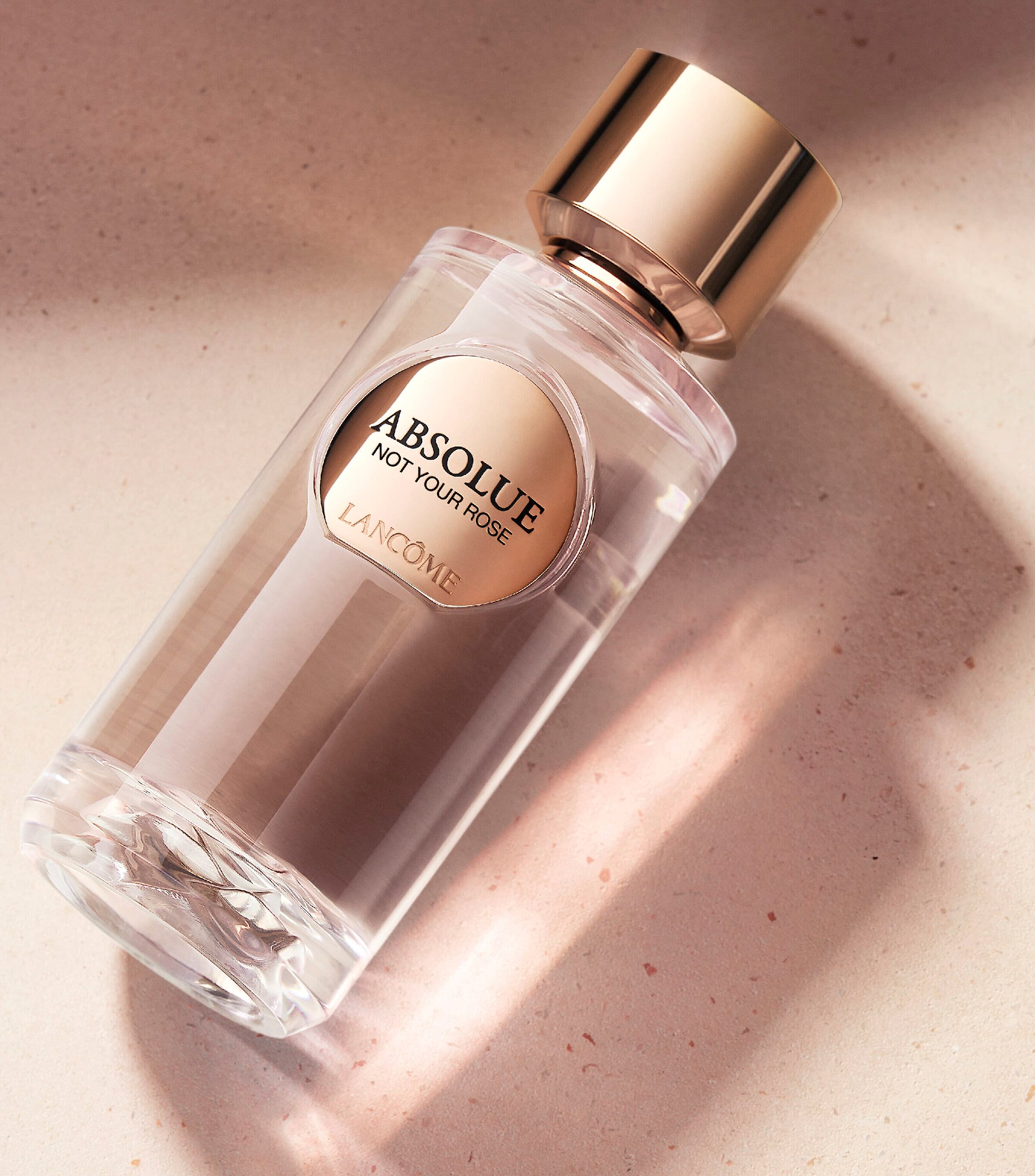 Absolue Not Your Rose Eau de Parfum (100ml) NO COLOUR Image 5
