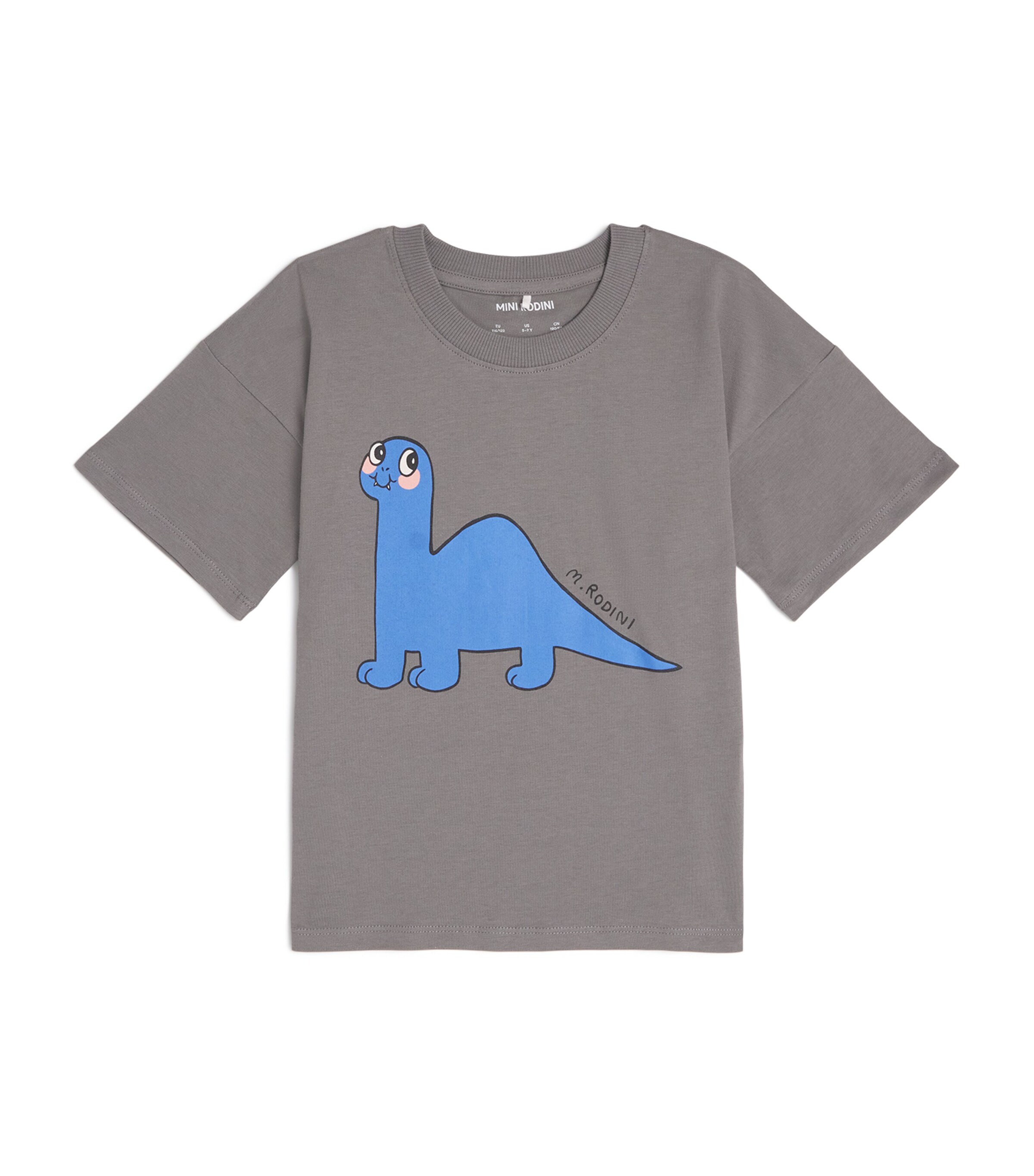 Organic Cotton Dino Graphic T-Shirt (3-11 Years) GREY Image 1