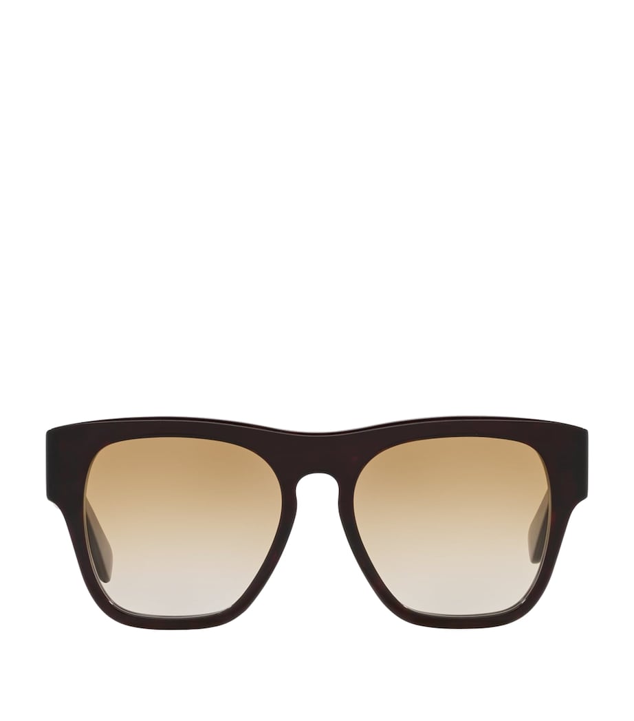 Acetate 06N000477 Sunglasses 4402D1 Image 1