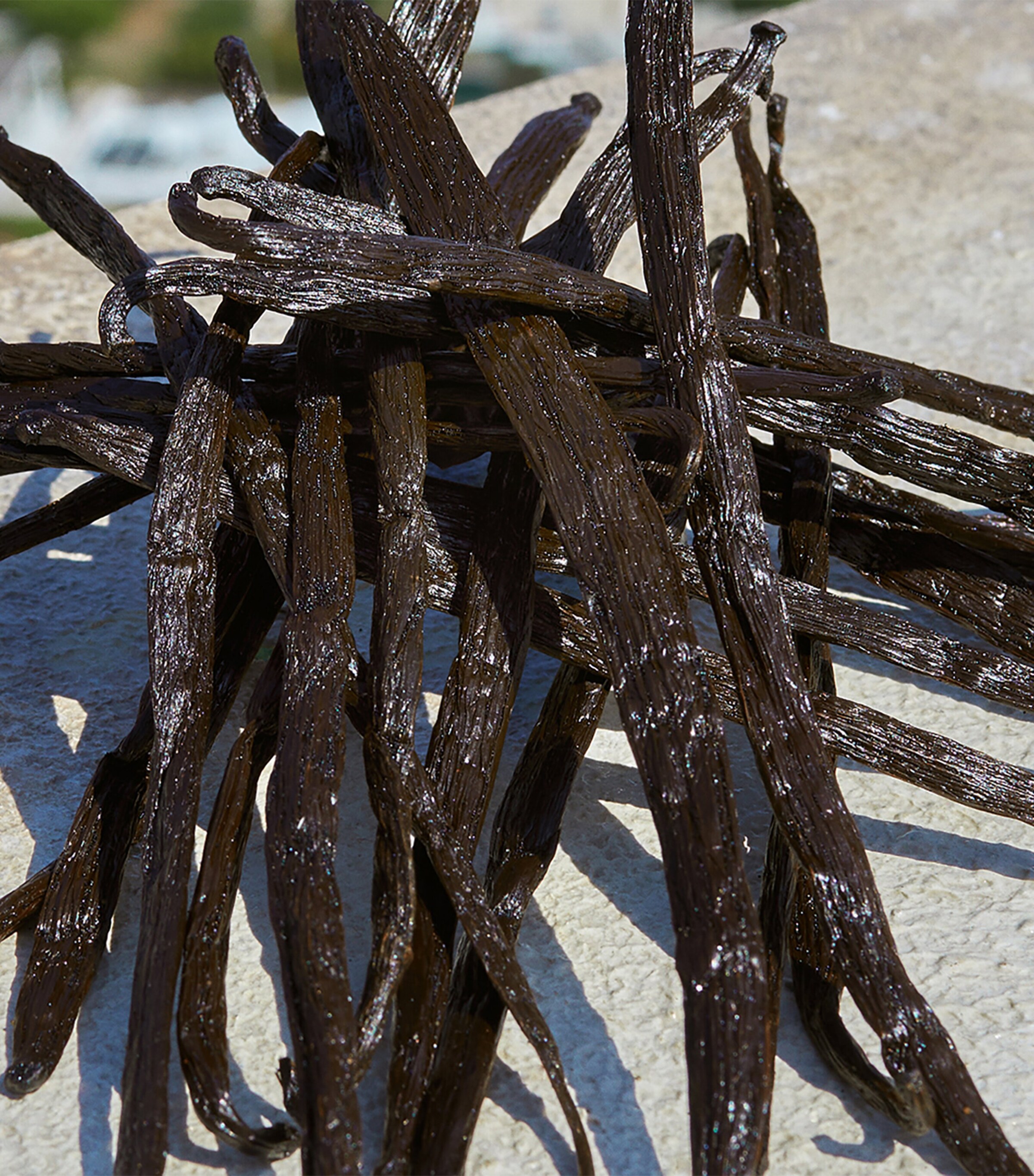 Devotion Eau de Parfum (30ml) NO COLOUR Image 8