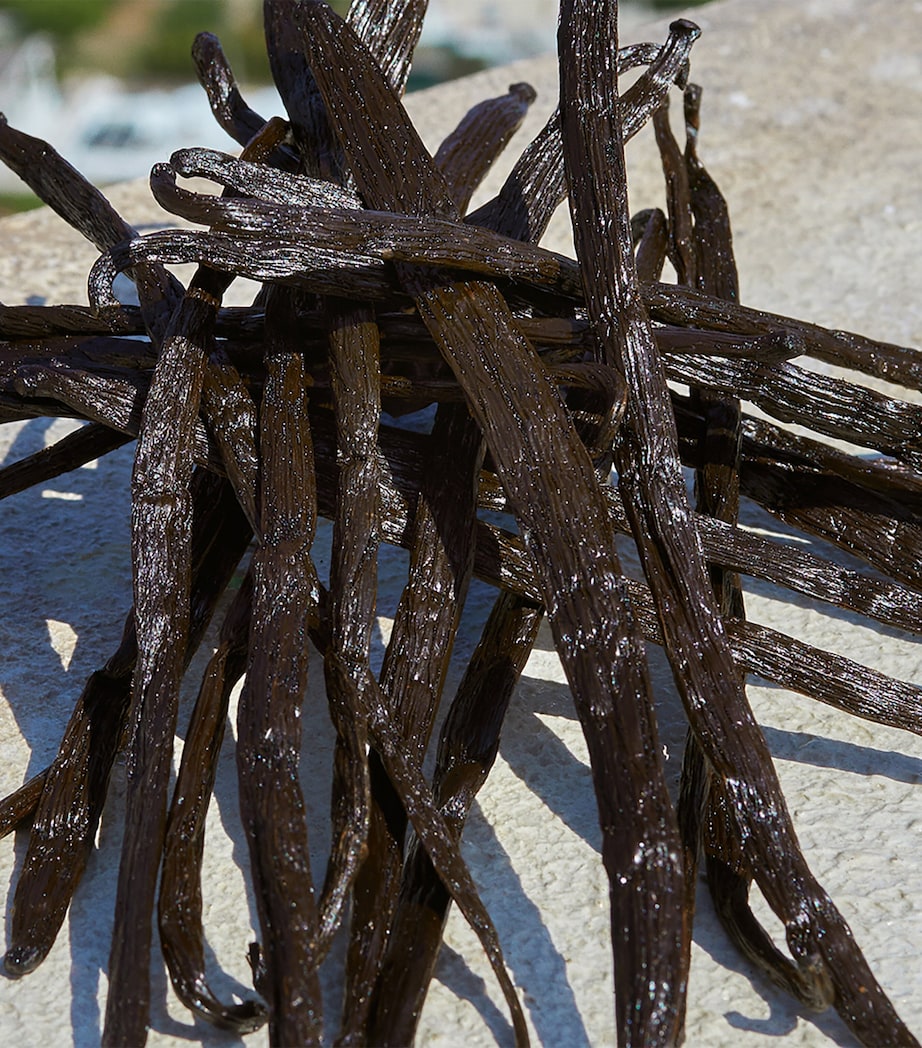 Devotion Eau de Parfum (30ml) NO COLOUR Image 8