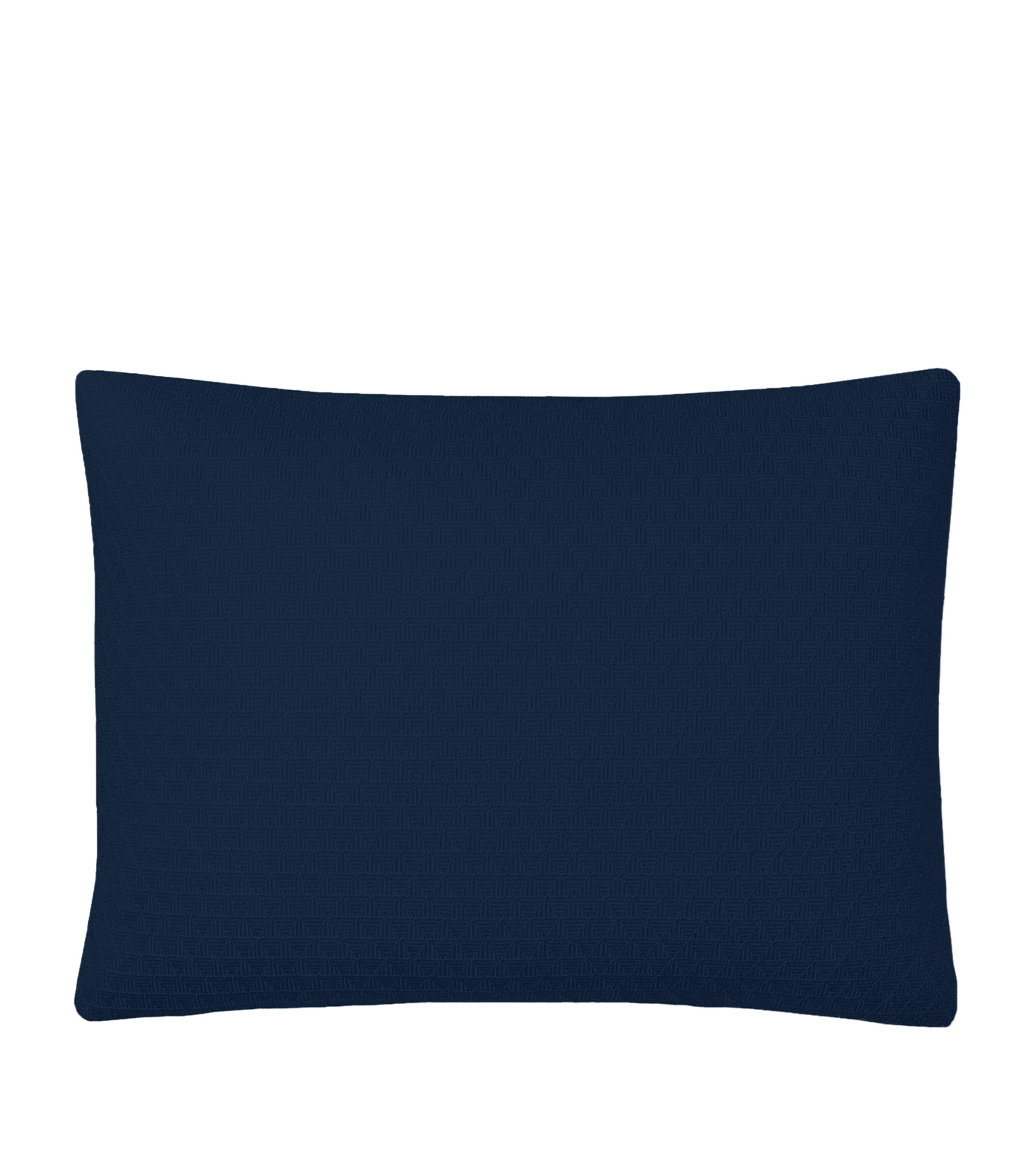 Shop Ralph Lauren Penthouse Lochlan Rectangle Cushion Cover In Navy