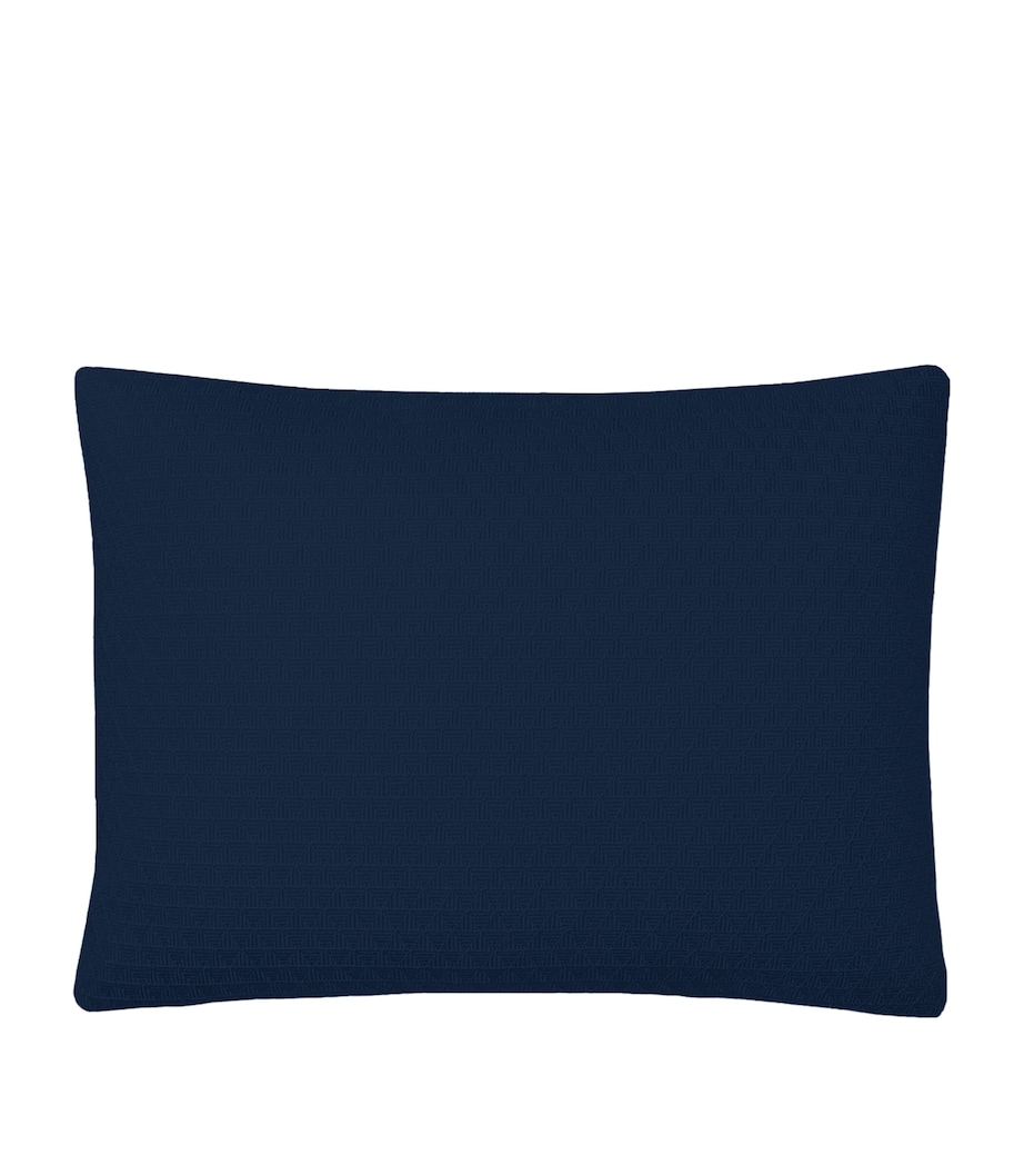 Penthouse Lochlan Rectangle Cushion Cover (30cm x 40cm) NAVY Image 1