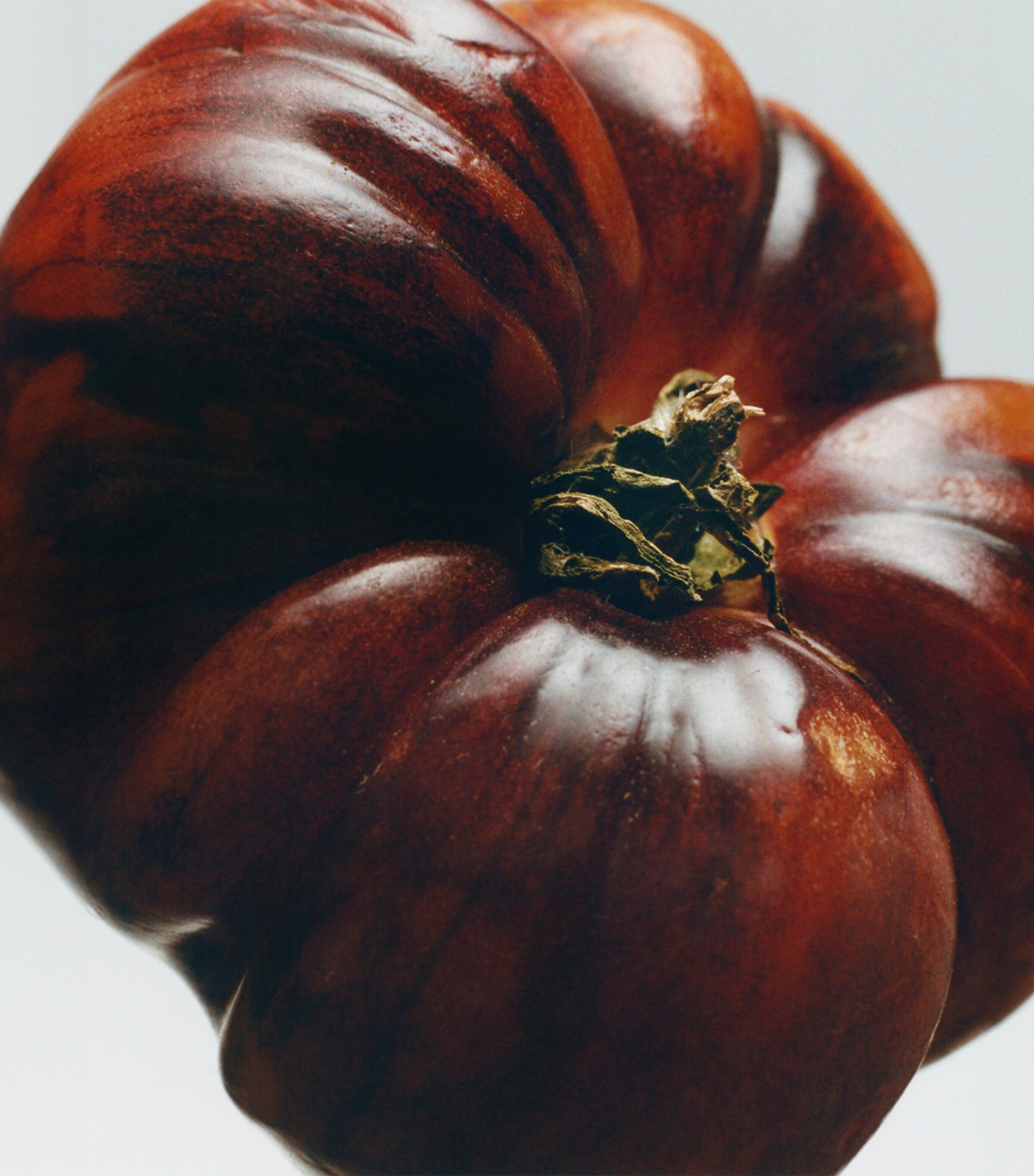 Tomato Leaves Body Lotion (360ml) NO COLOUR Image 3