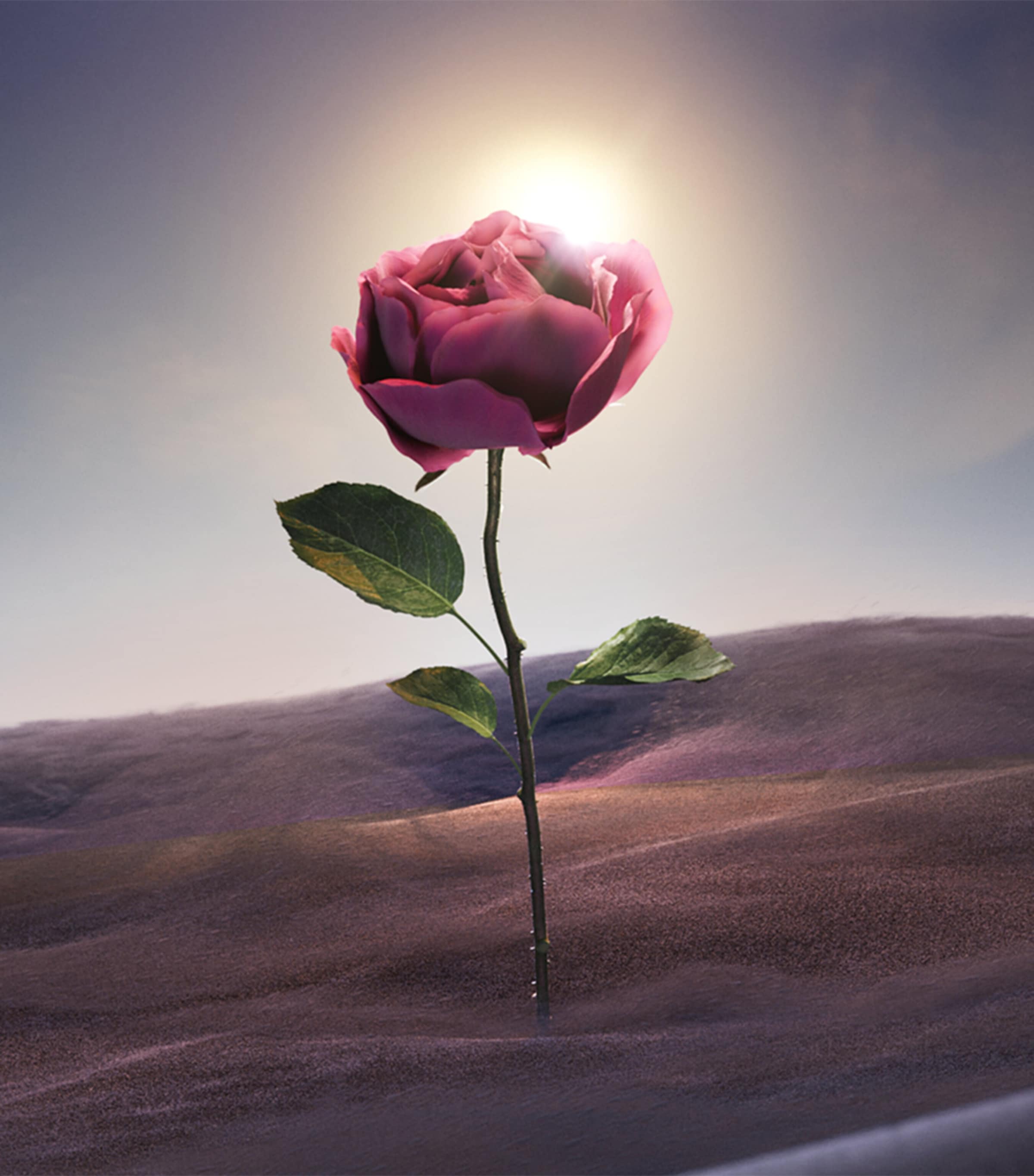 Le Gemme Sahare Eau de Parfum (125ml) NO COLOUR Image 4